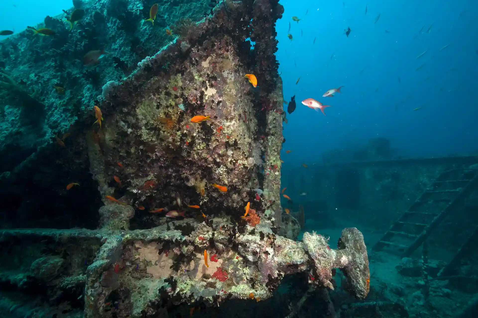 Photo du site de plongée