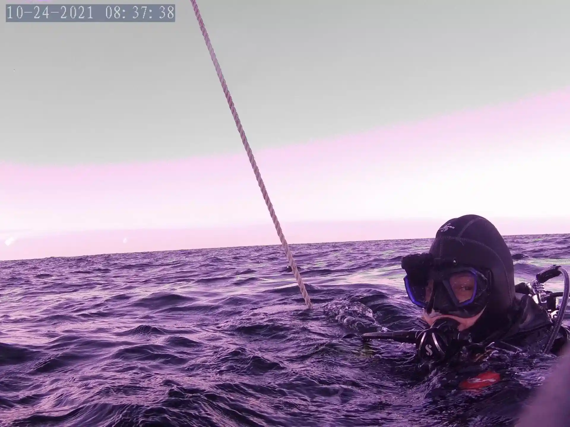 다이빙 포인트 사진