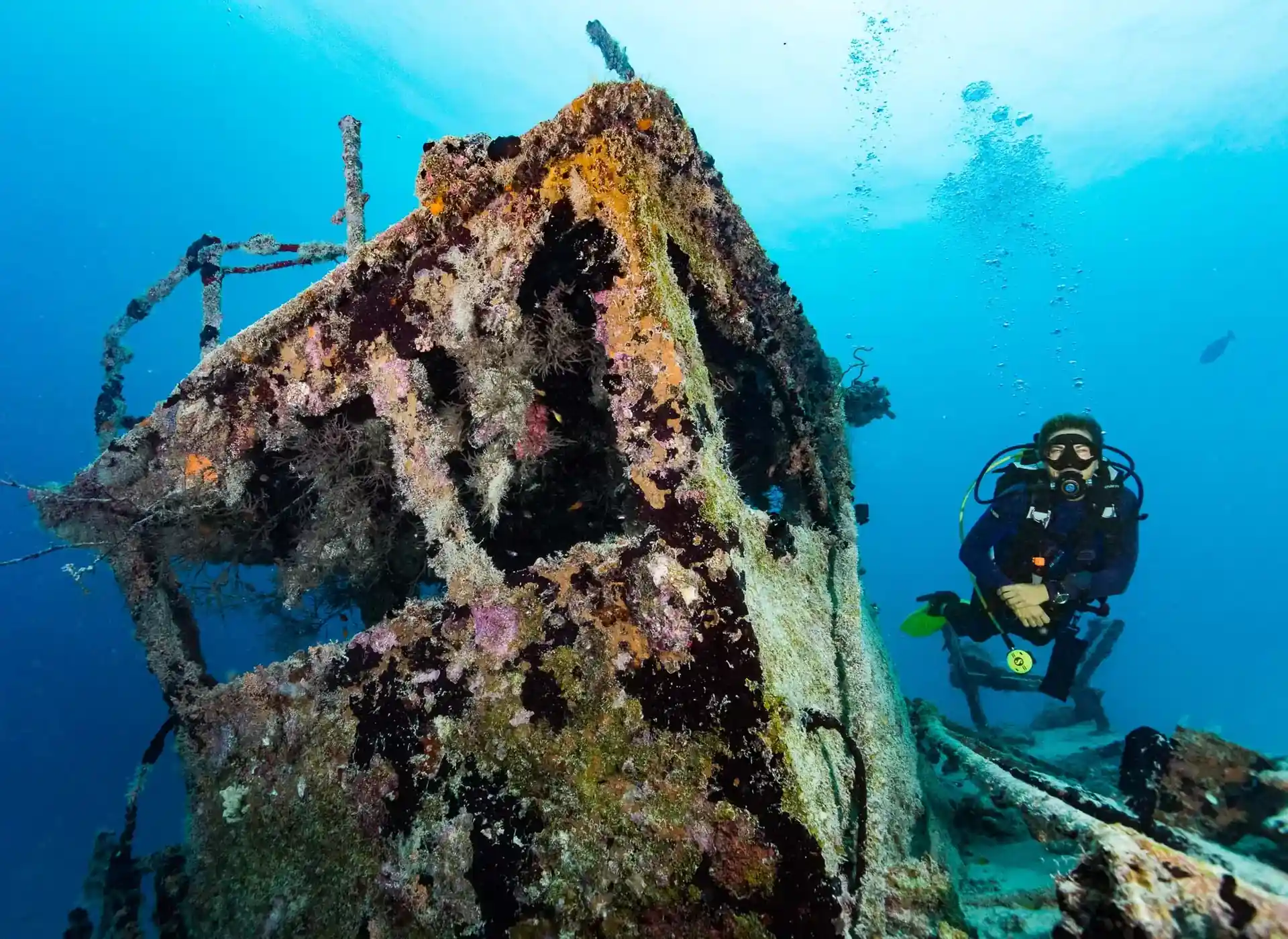 Dive site photo