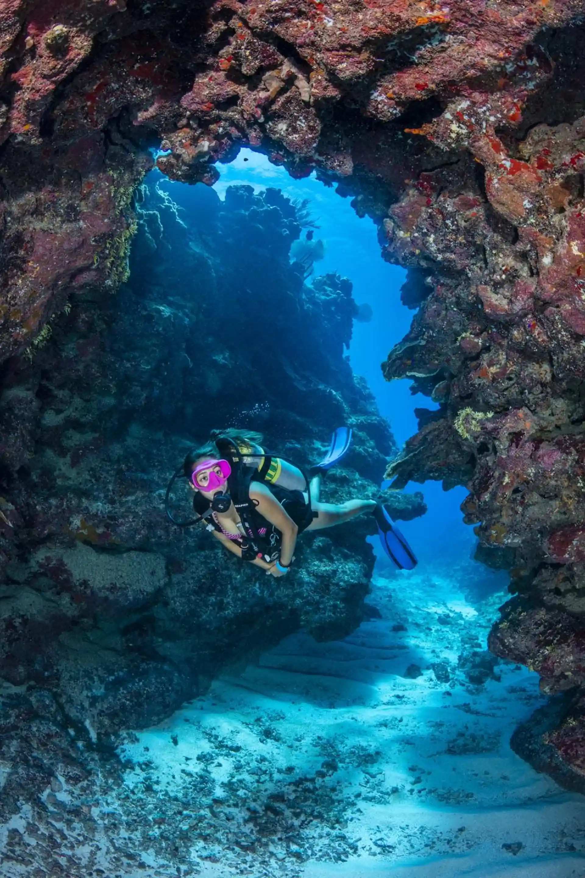 Dive site photo