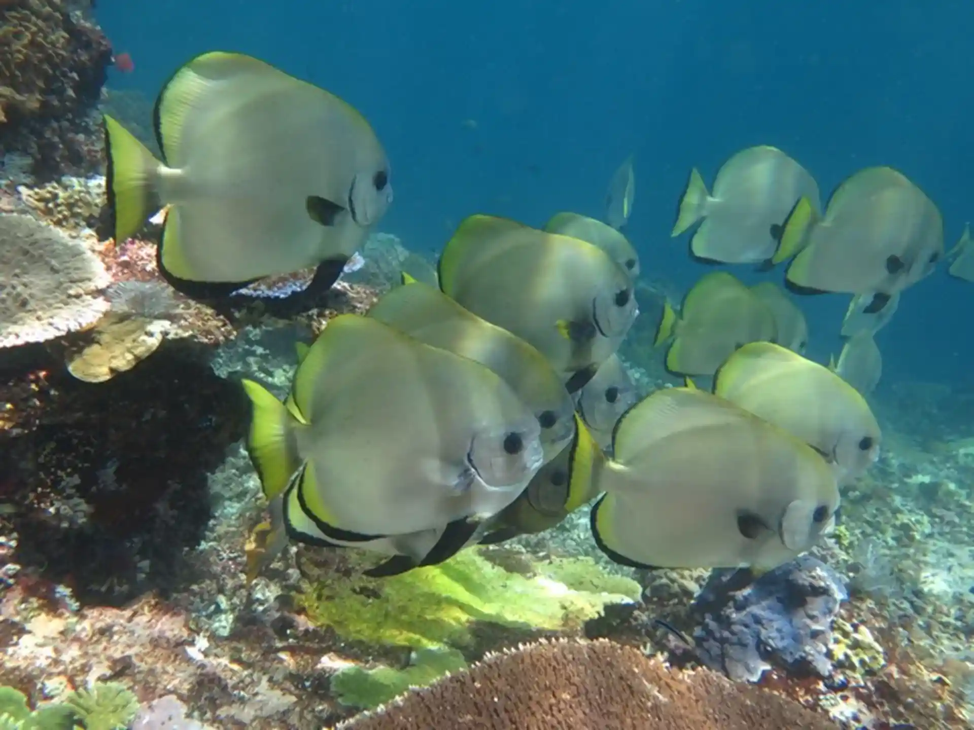 Dive site photo