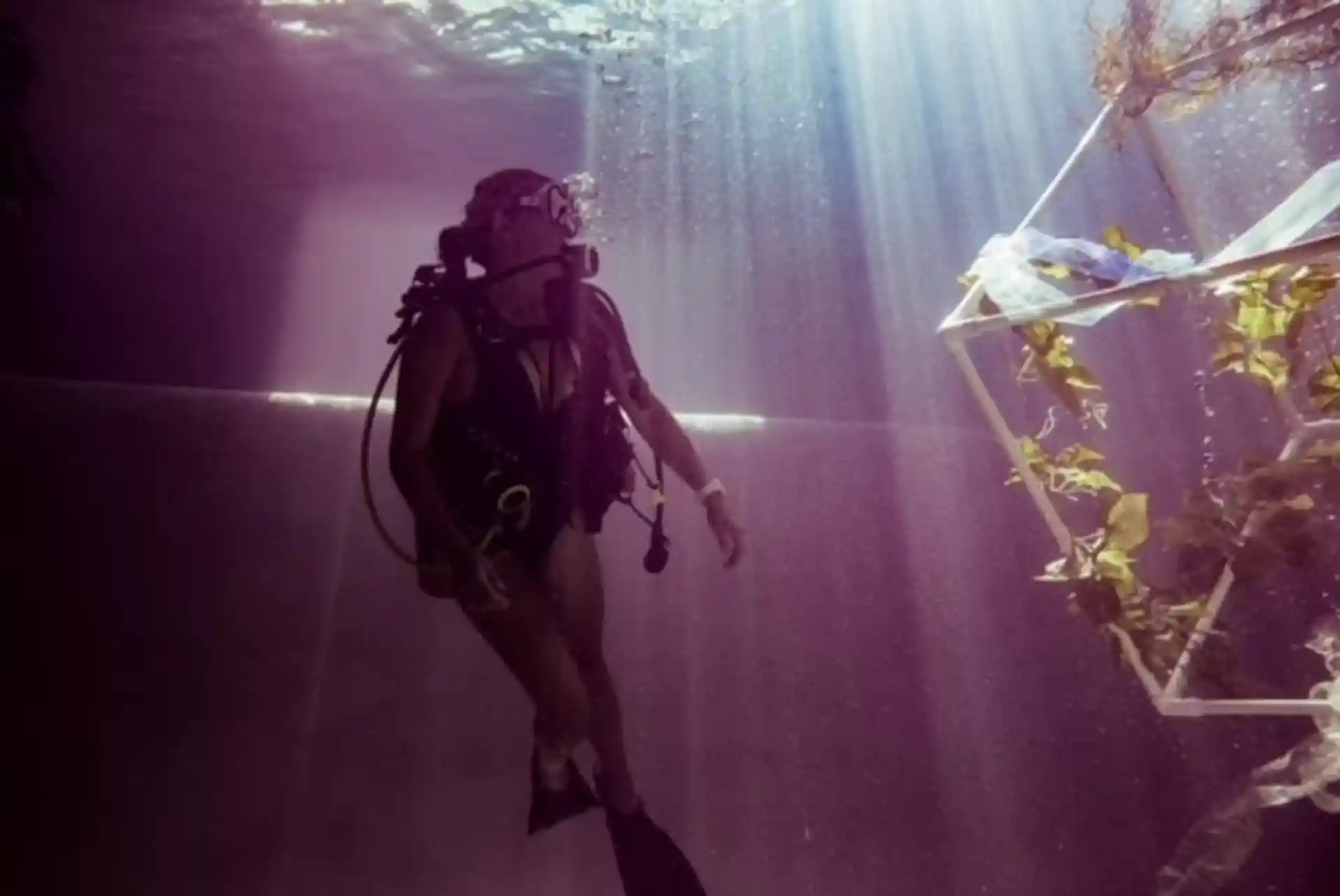 Dive shop photo