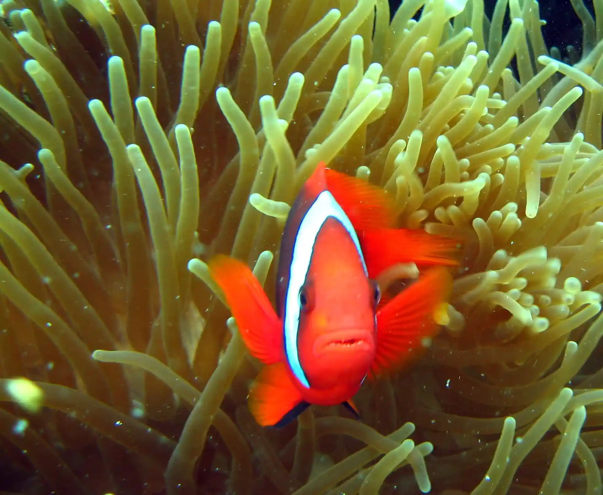 다이빙 포인트 사진