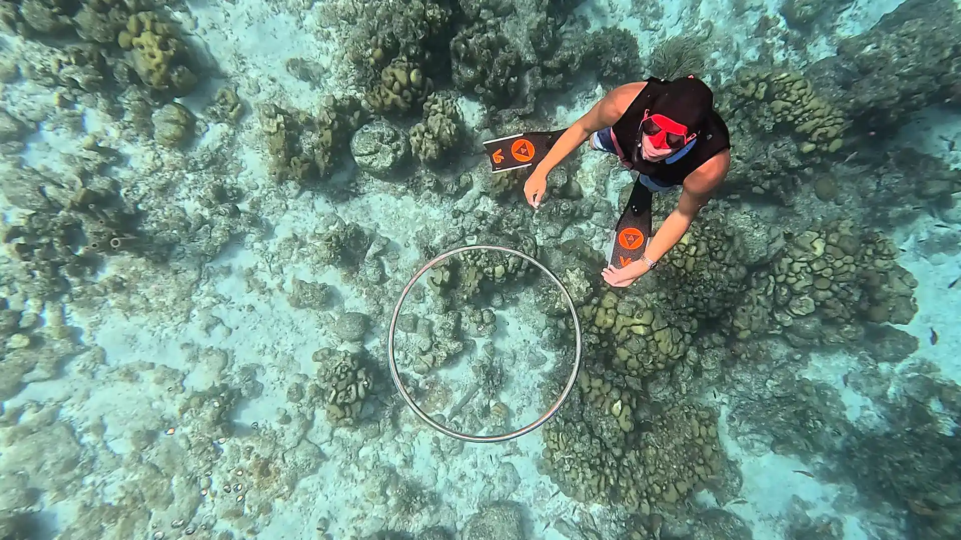 Dive shop photo