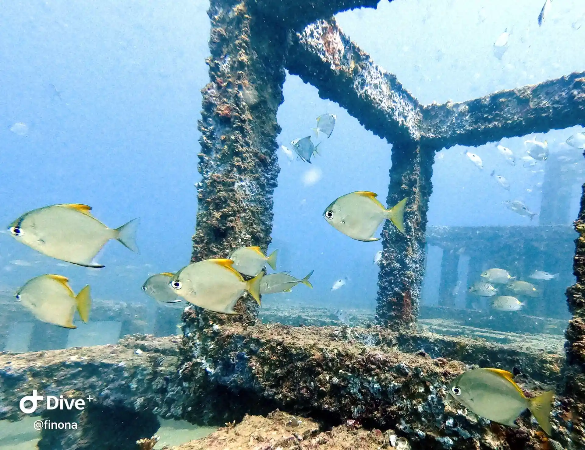Dive site photo