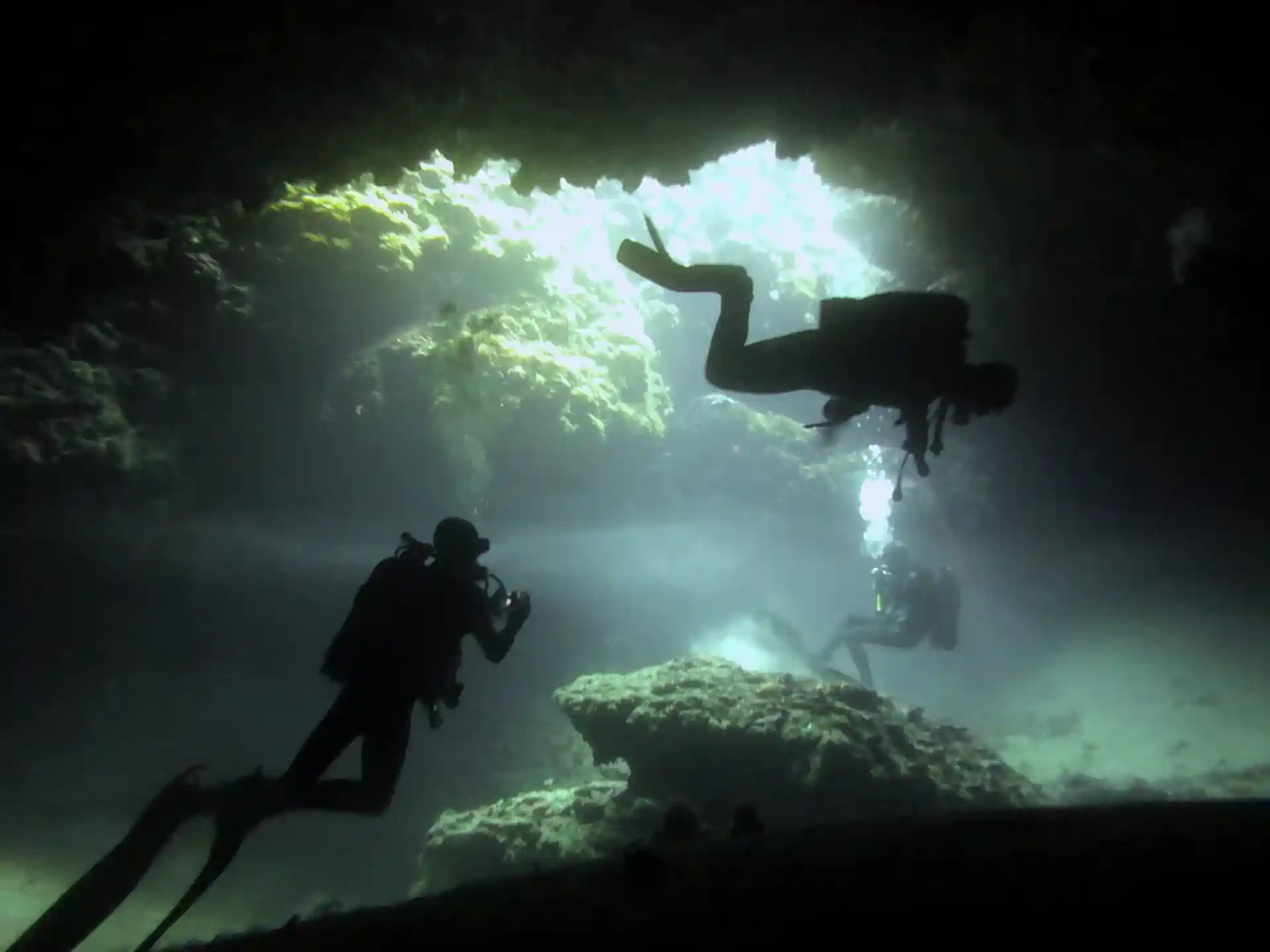 Photo de l'activité