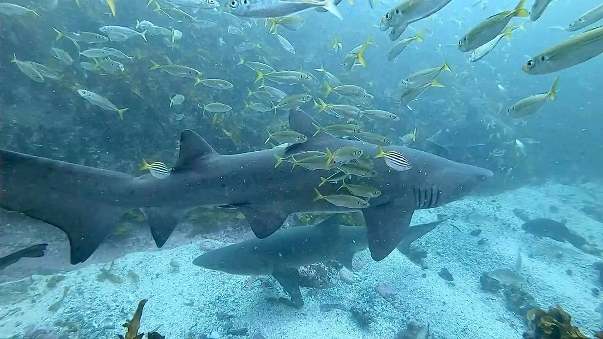 Dive site photo