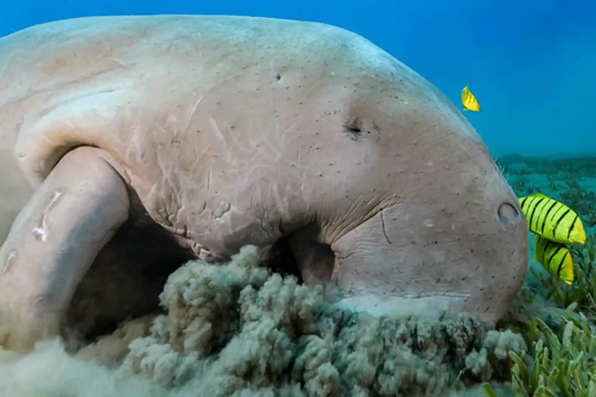 Photo de l'activité