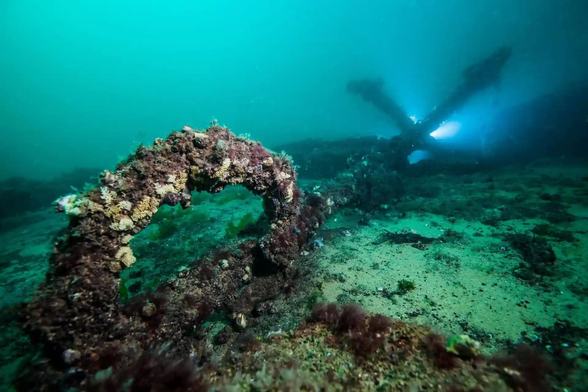 ダイビングサイトの写真