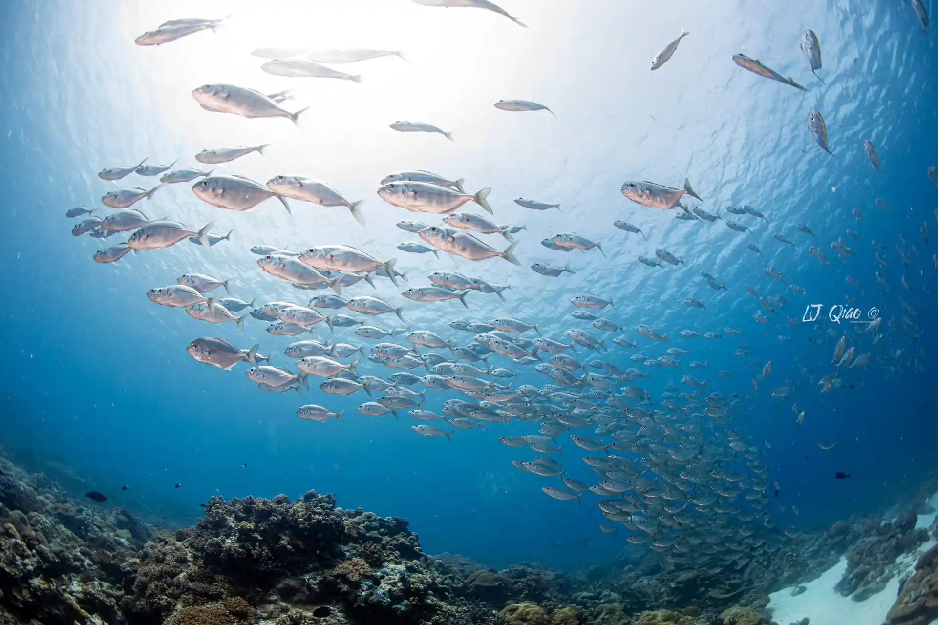 Foto de la actividad