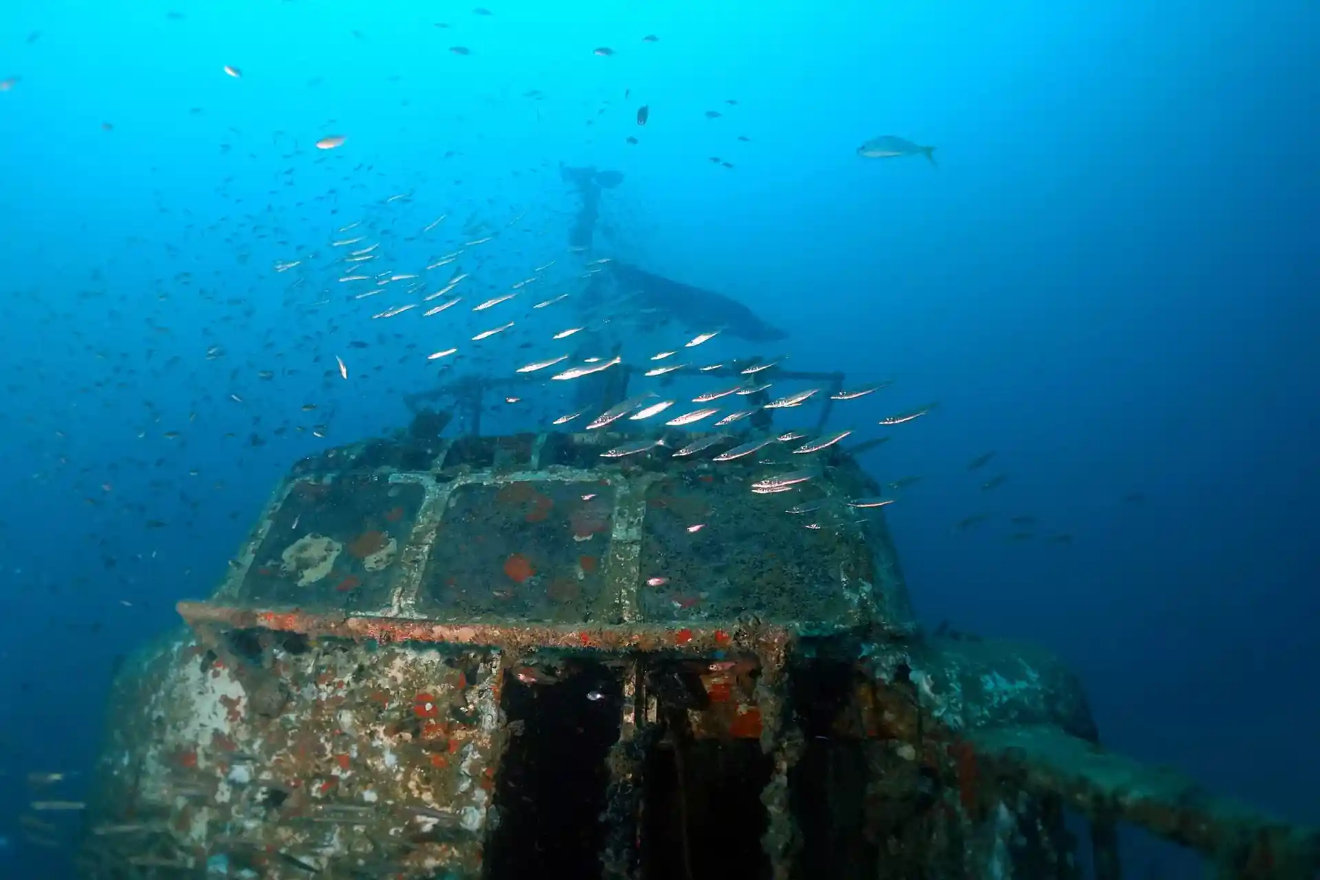 Dive site photo