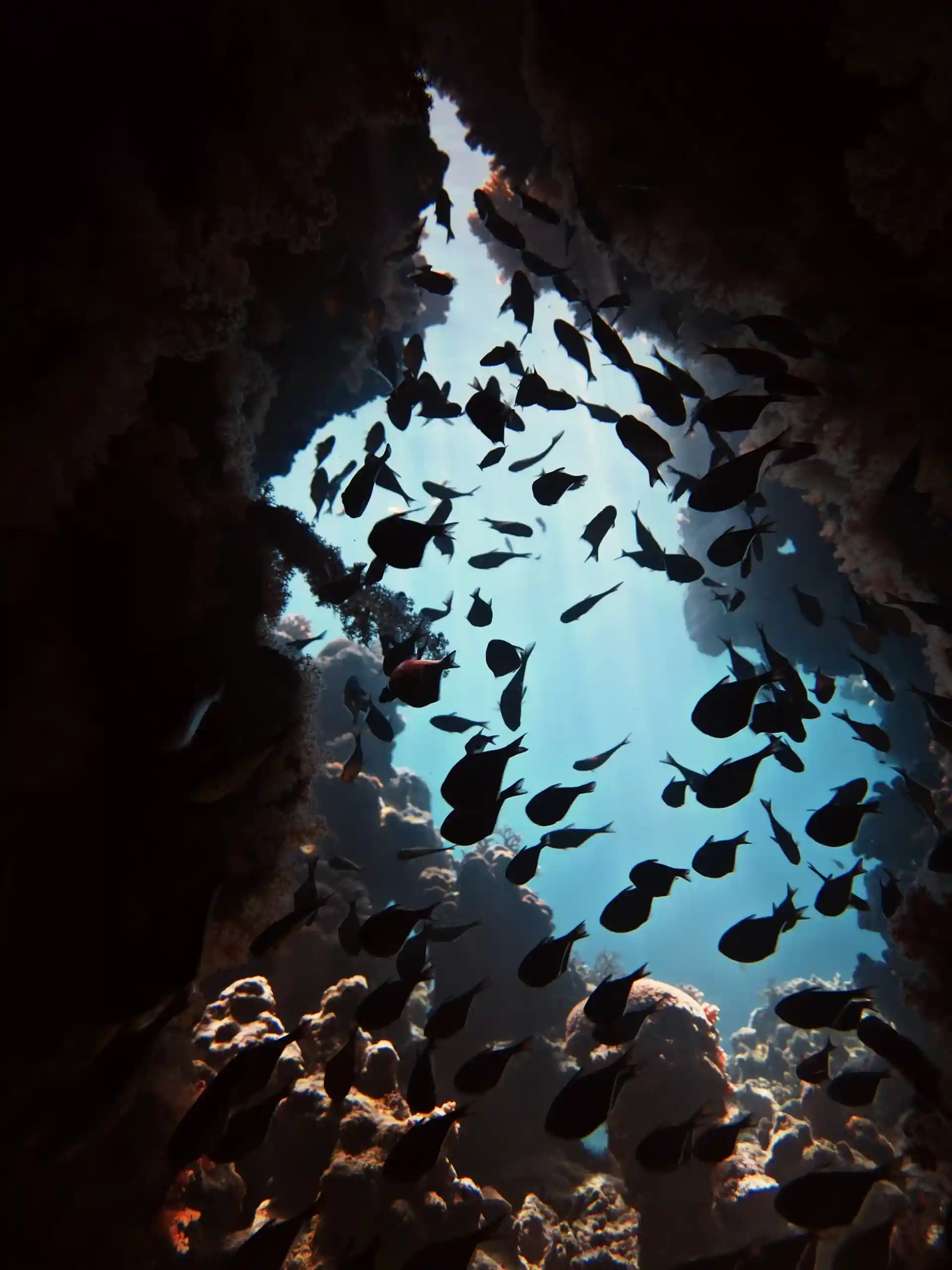 Dive shop photo