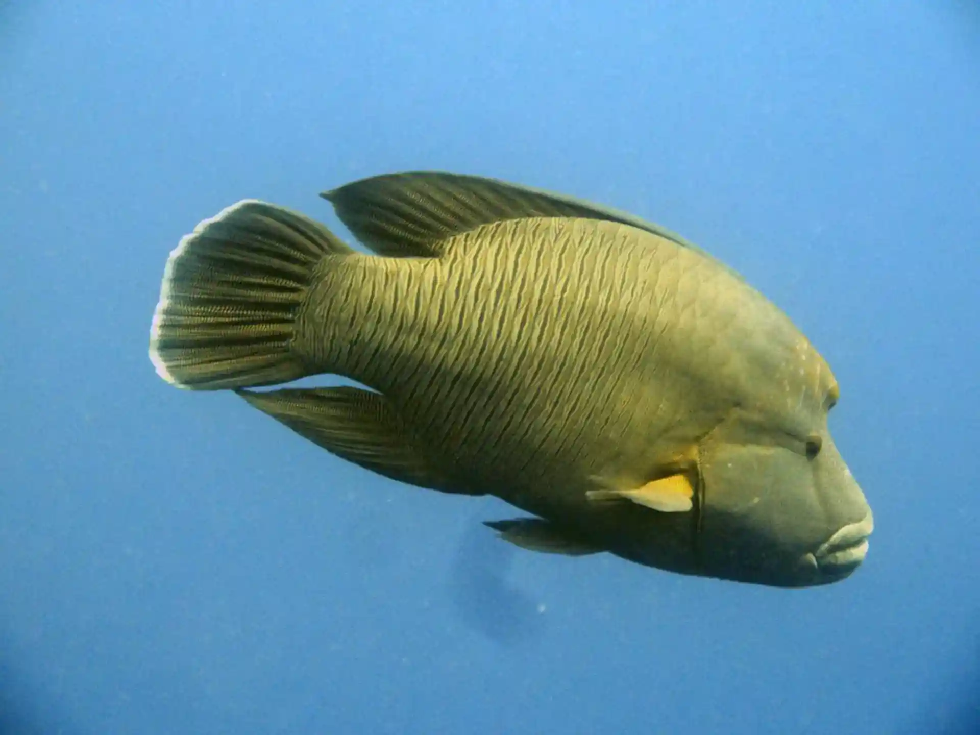 Photo de l'activité