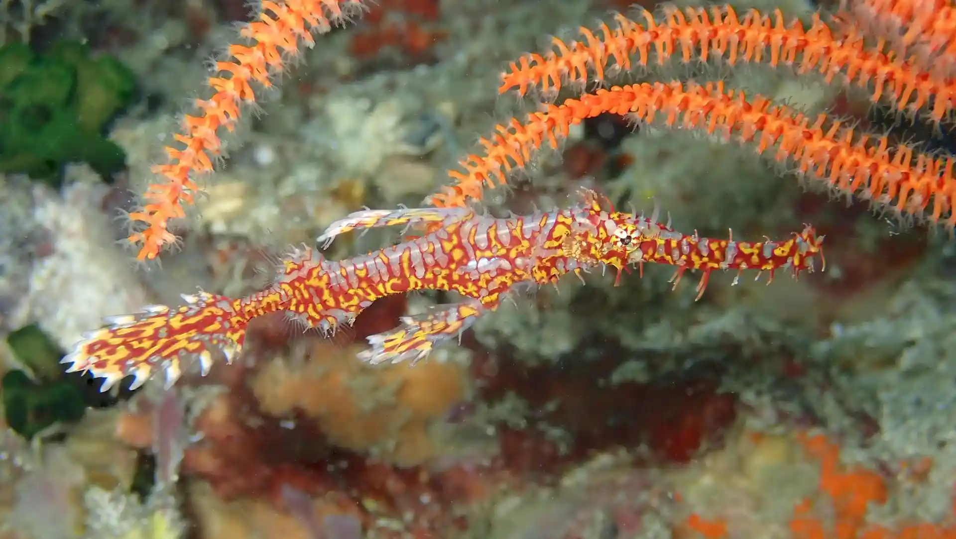 다이빙 포인트 사진