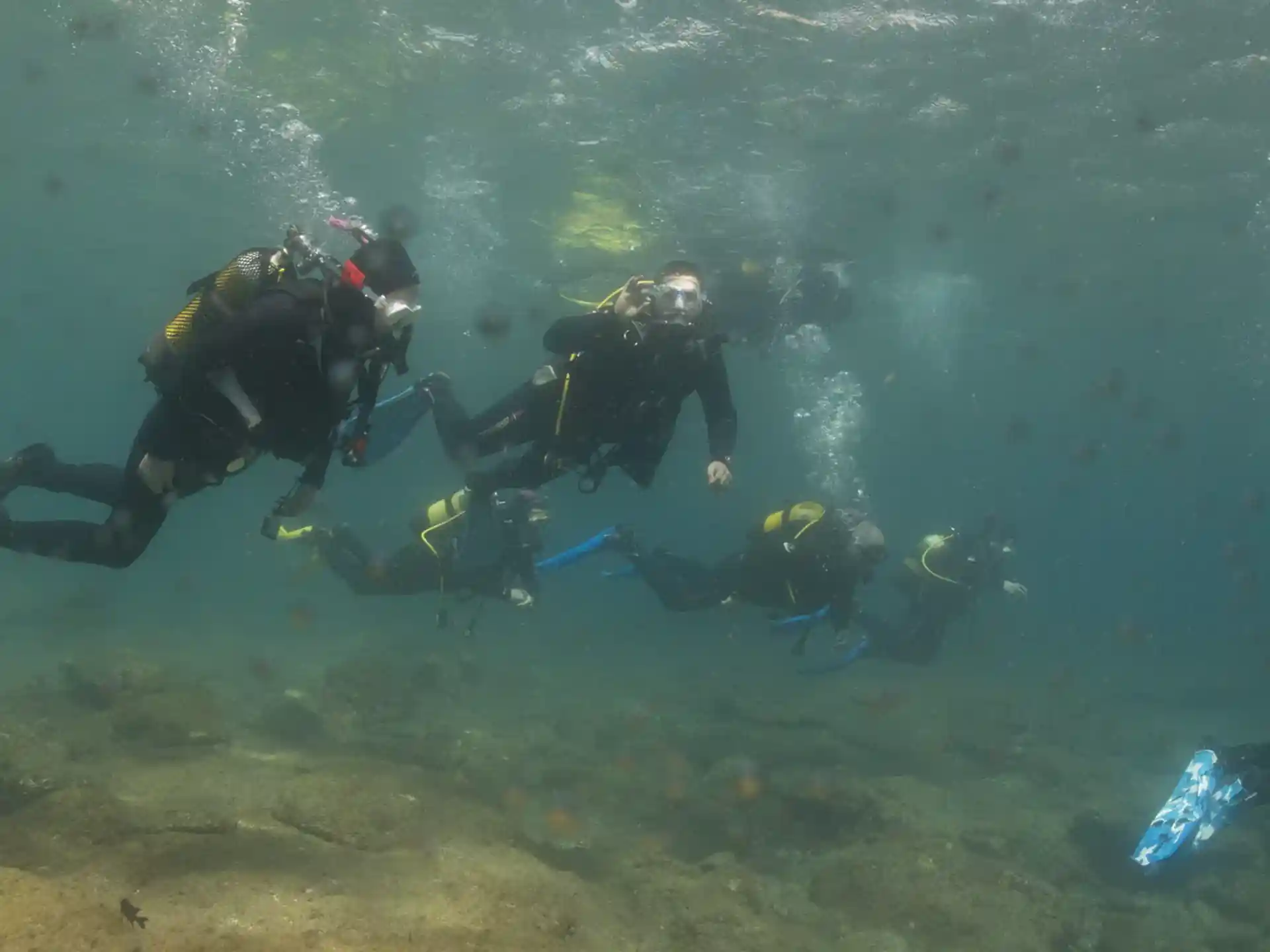 Foto des Tauchplatzes