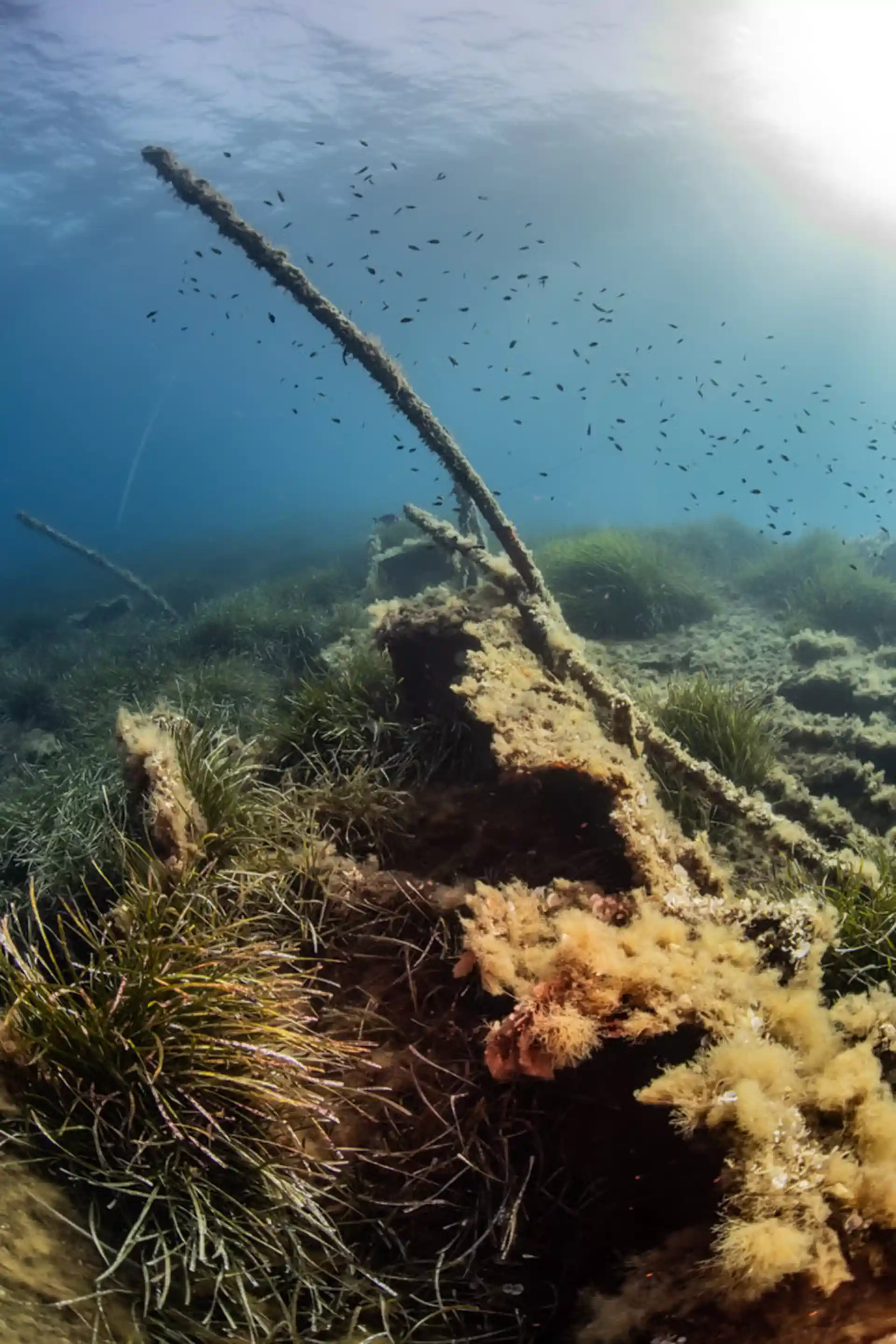 Dive site photo