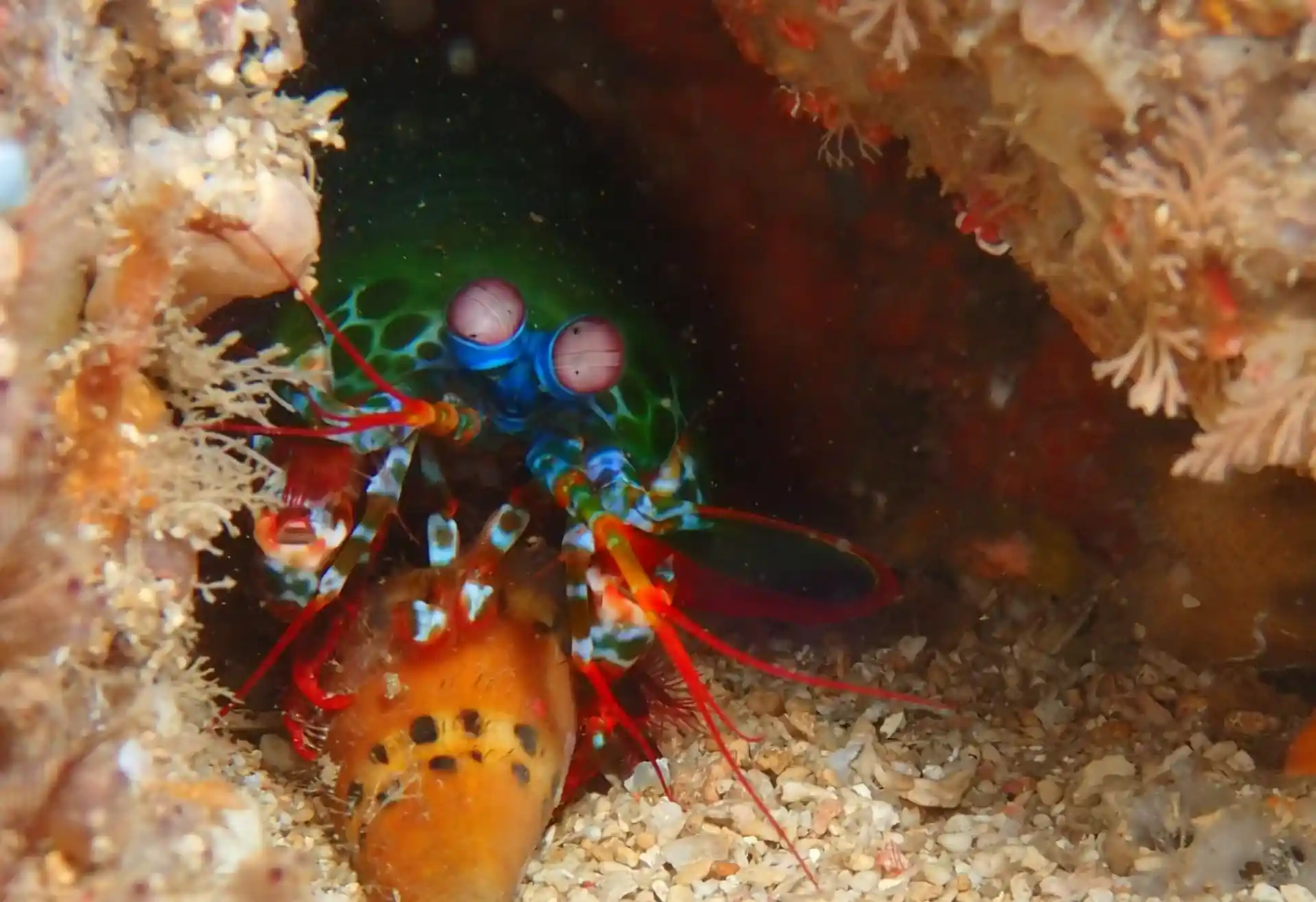 Dive site photo