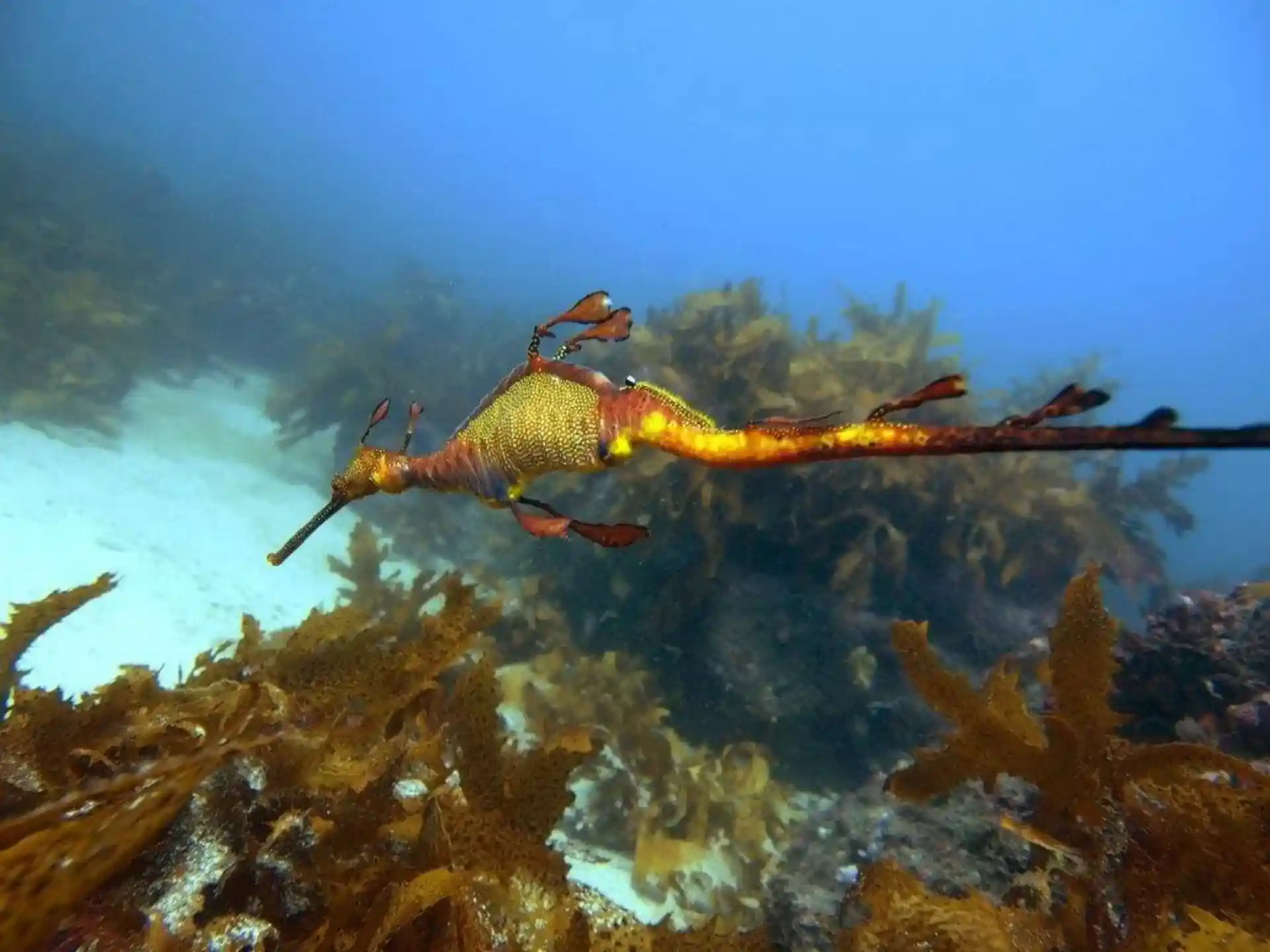 Dive site photo