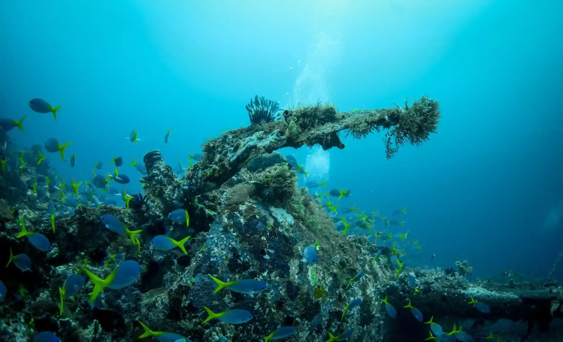 ダイビングサイトの写真