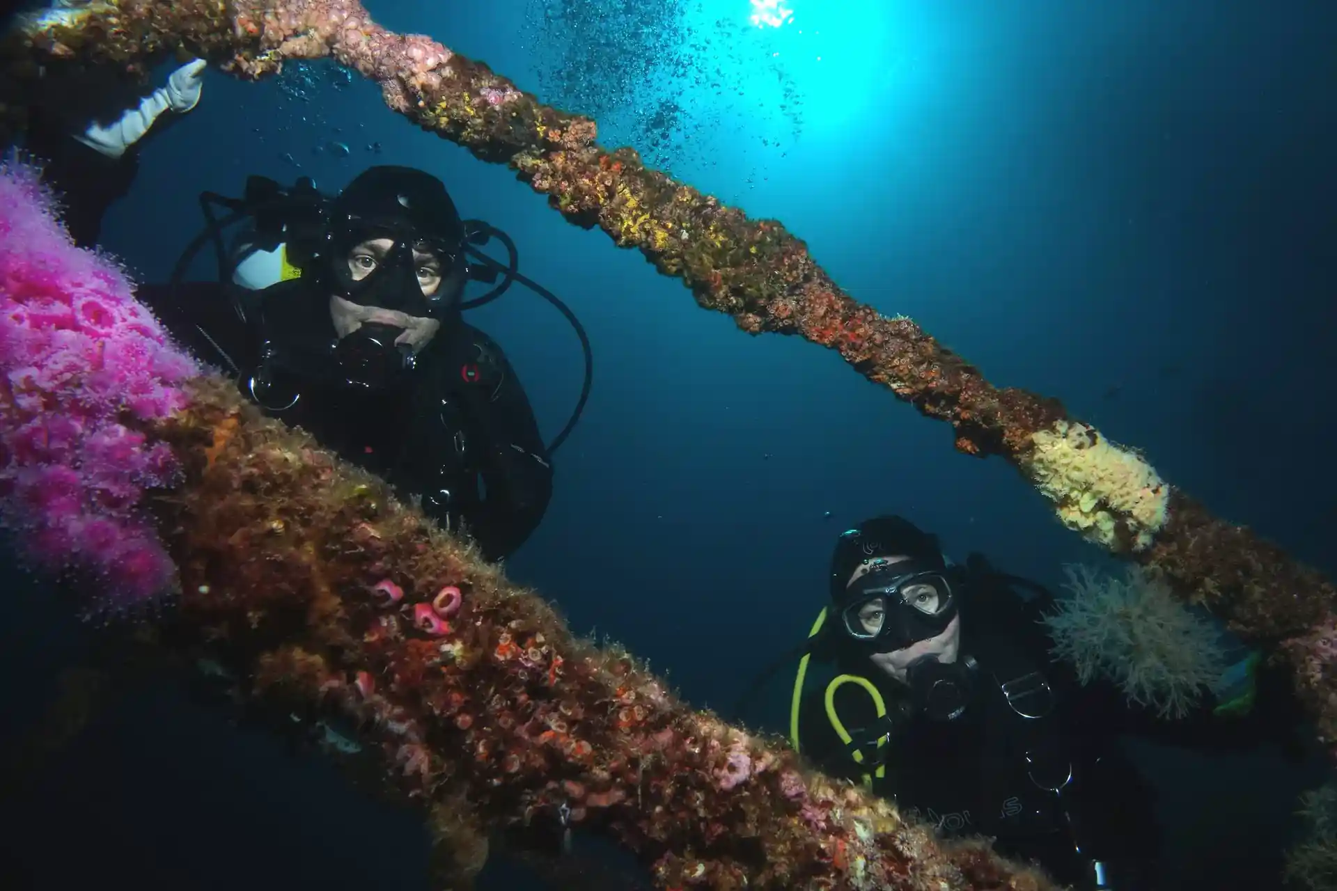 Dive site photo