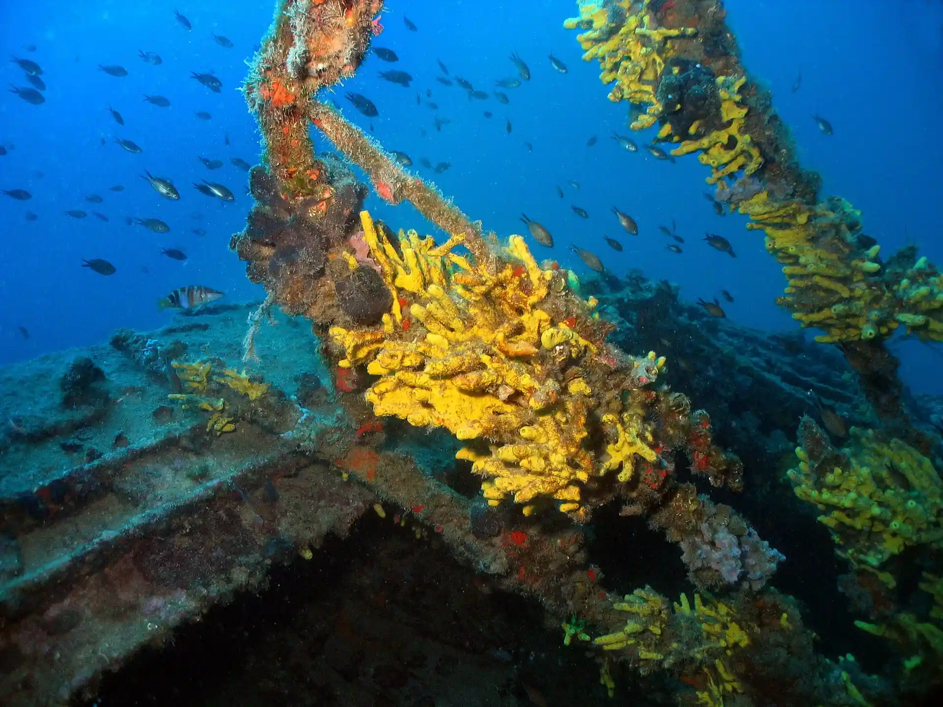 Dive site photo