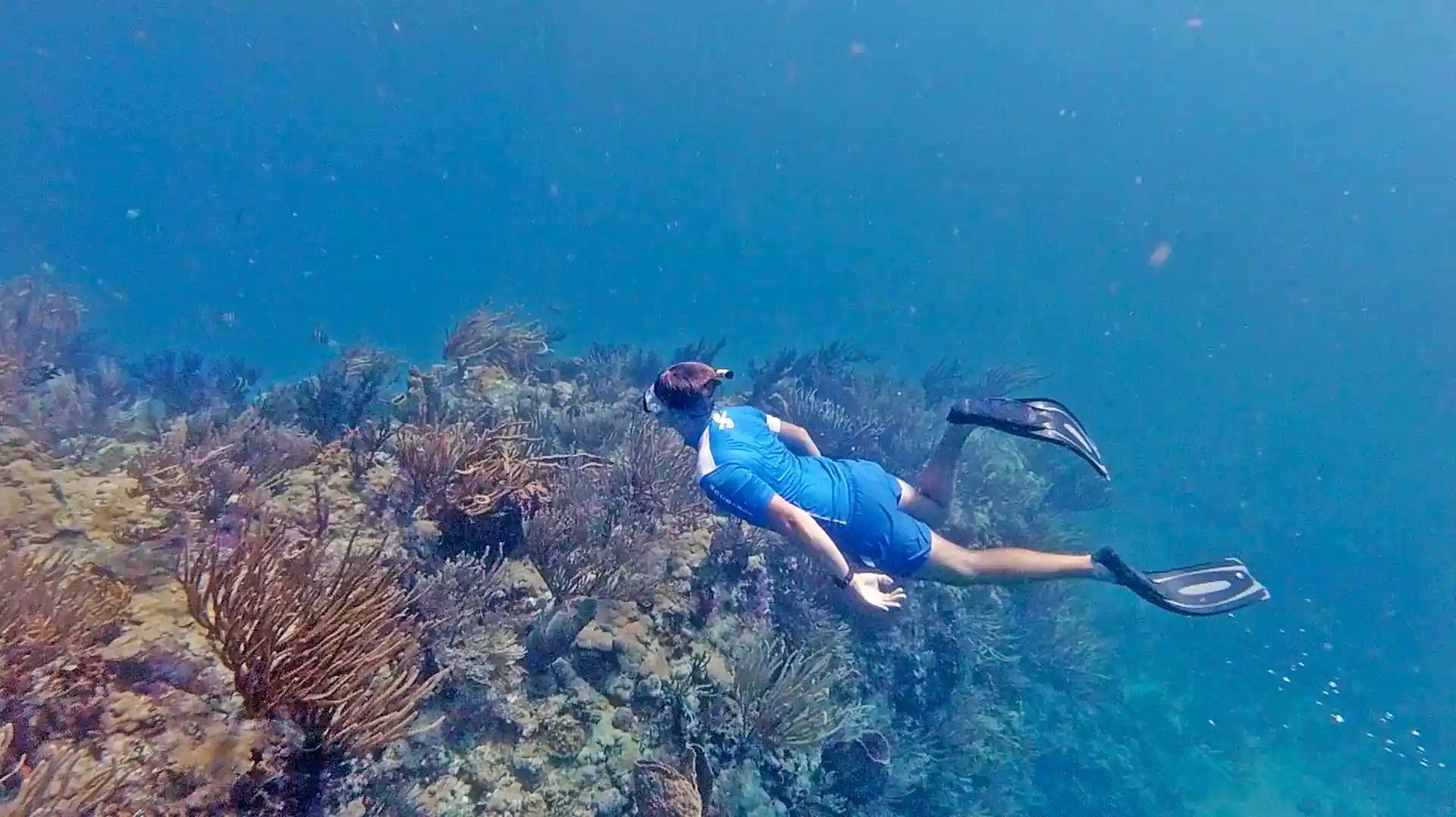 Photo de l'activité