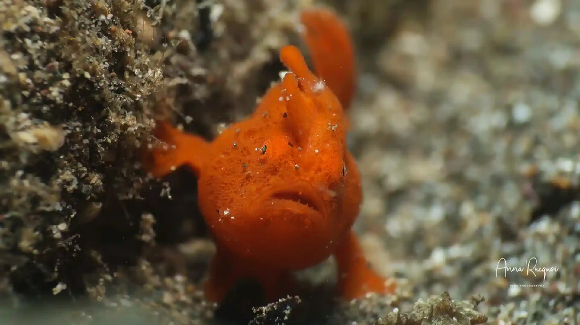 Dive site photo