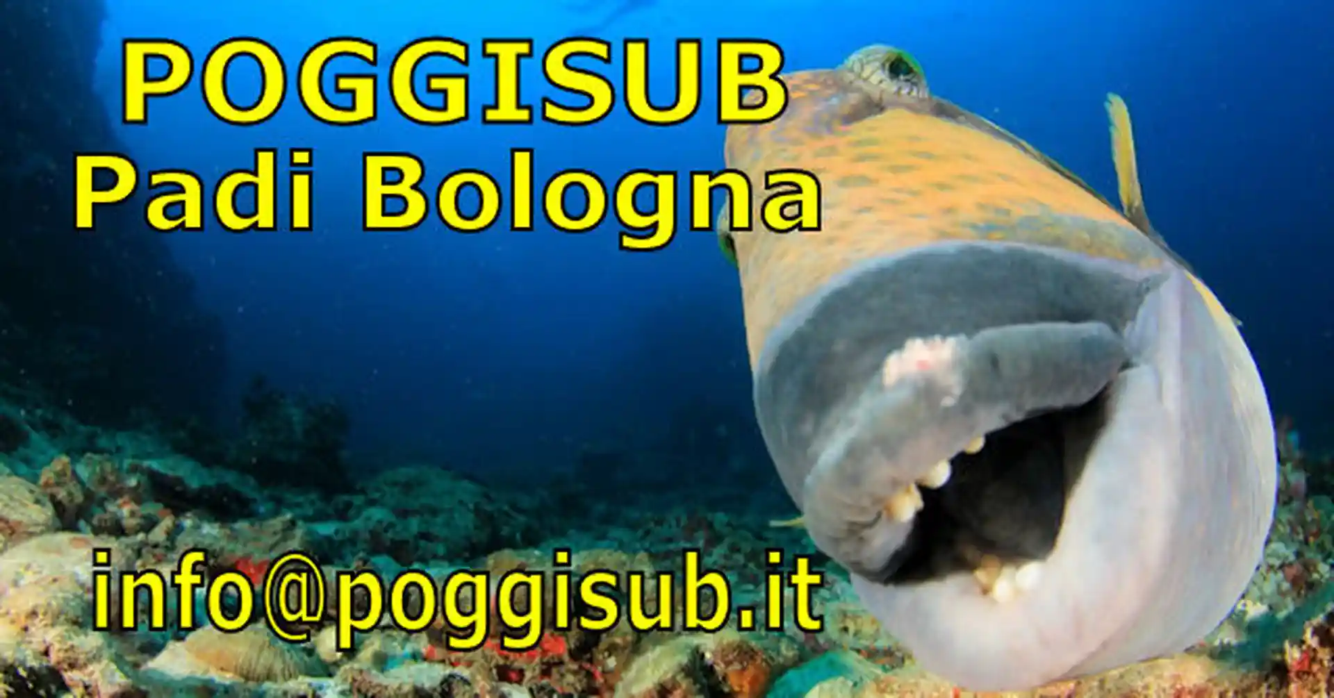 un programma breve ma completo ... non una 