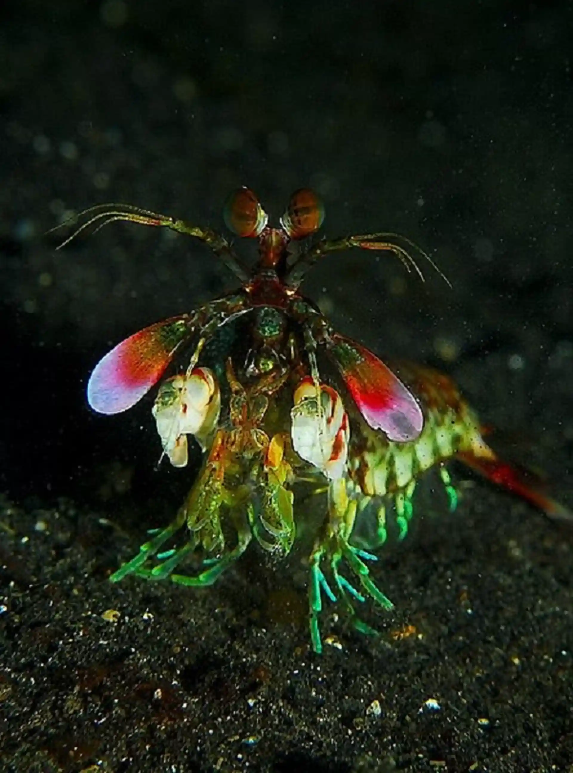 Dive site photo