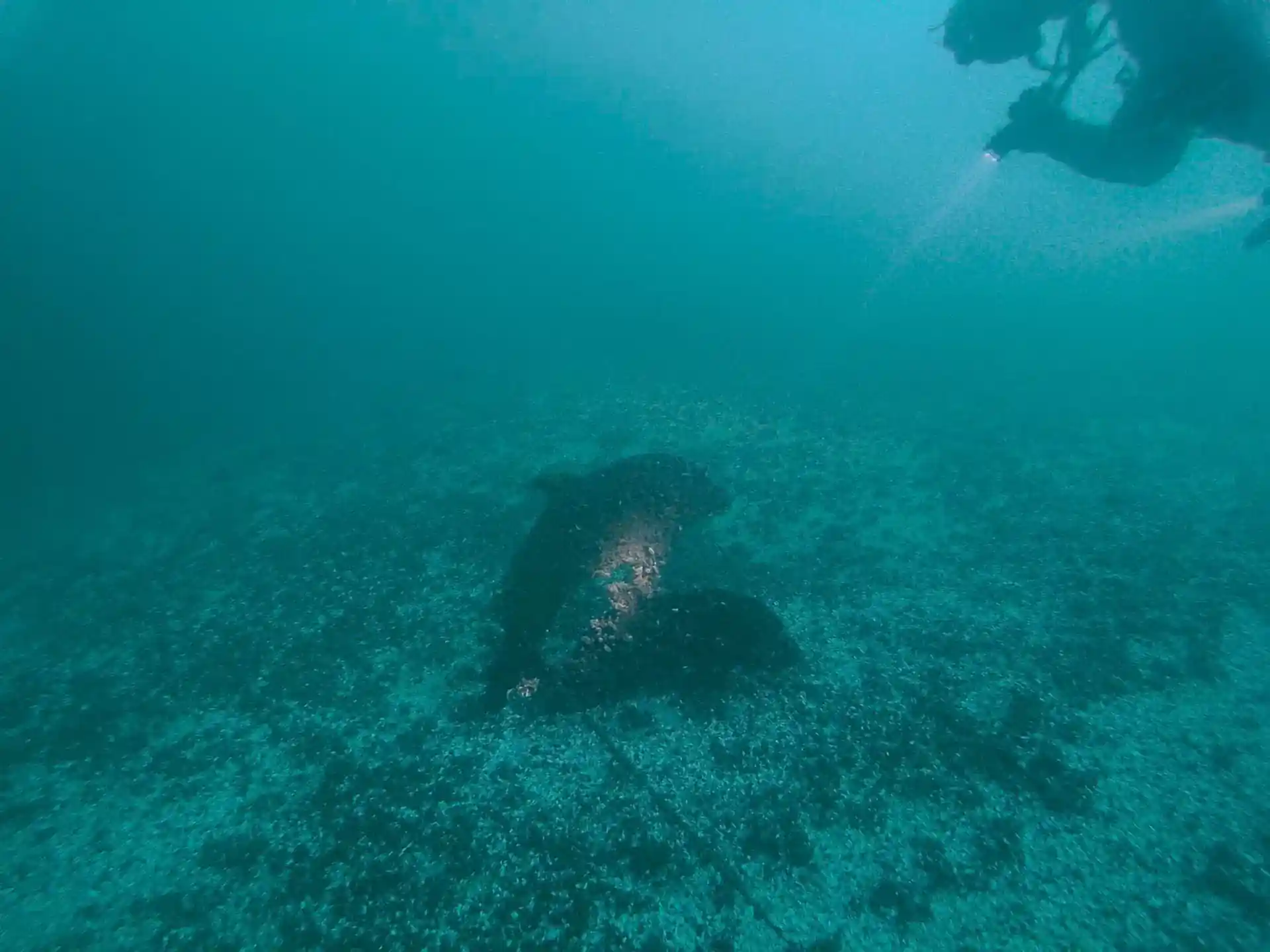 다이빙 포인트 사진