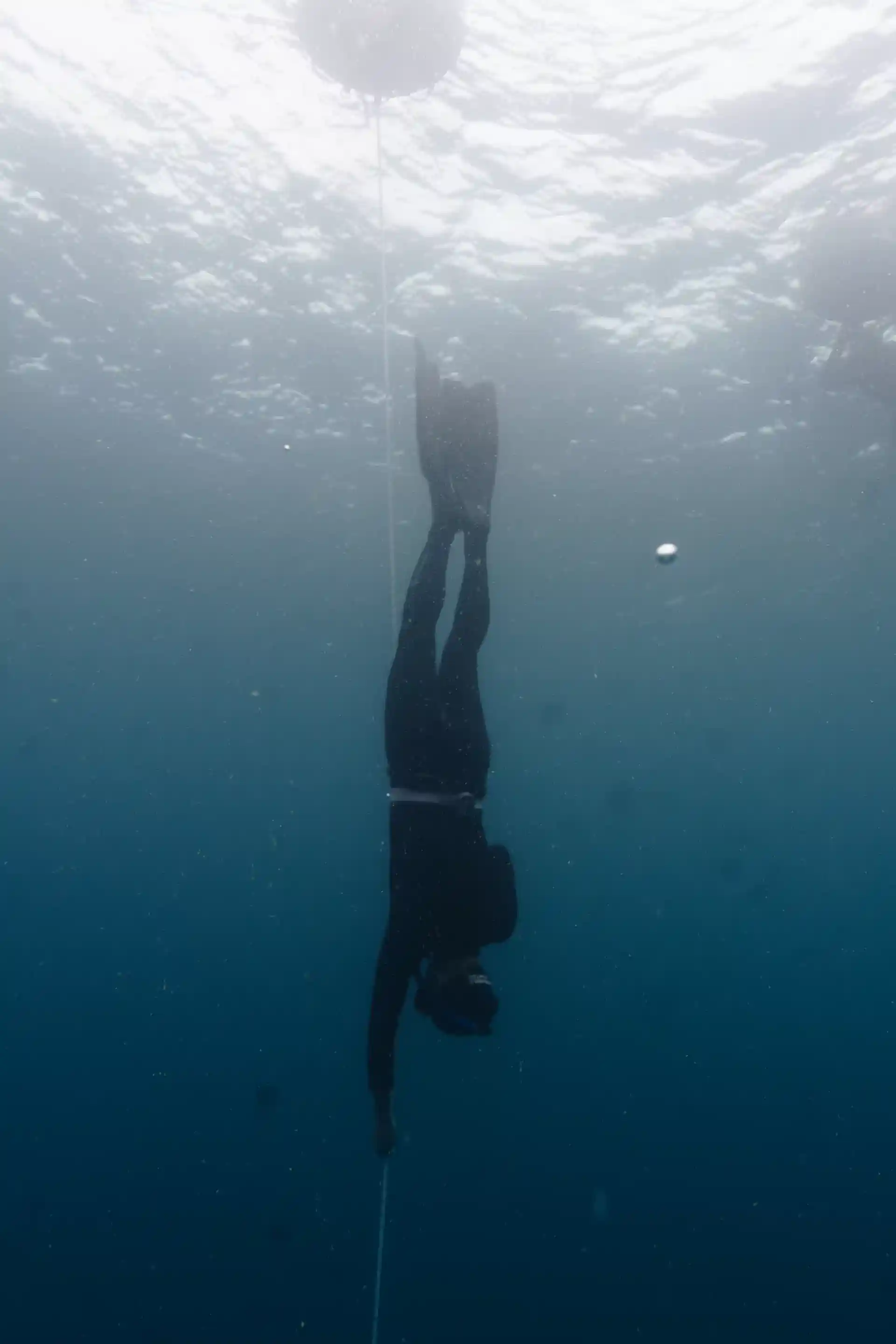 Explore the ocean on a single breath