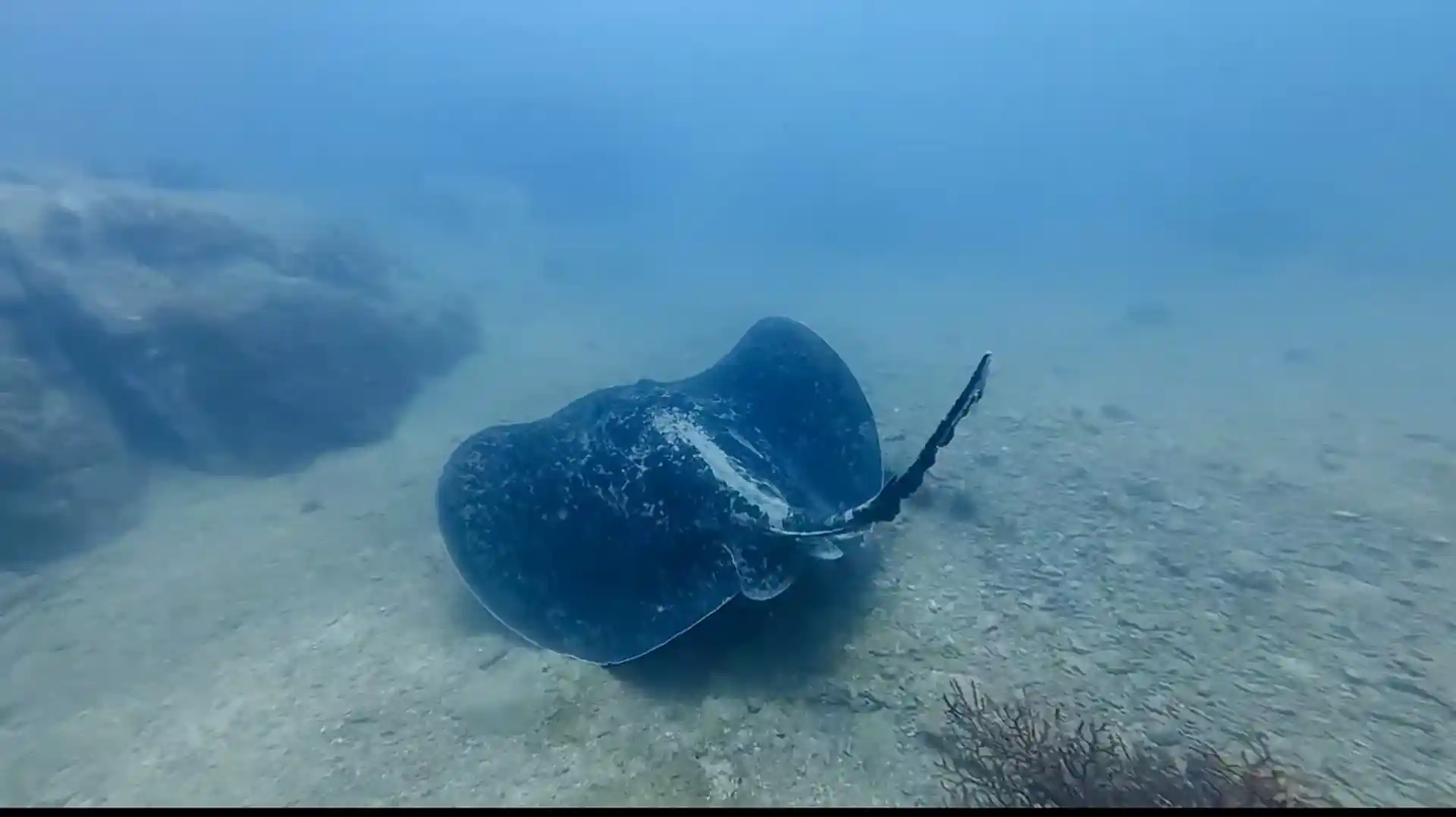 ダイビングショップの写真