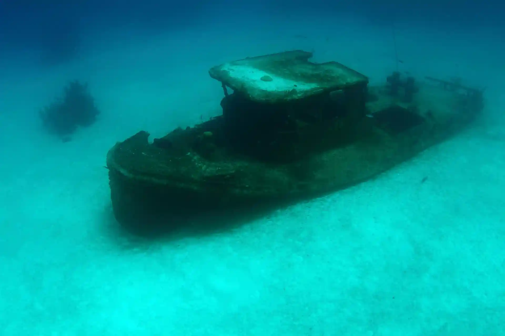 ダイビングサイトの写真