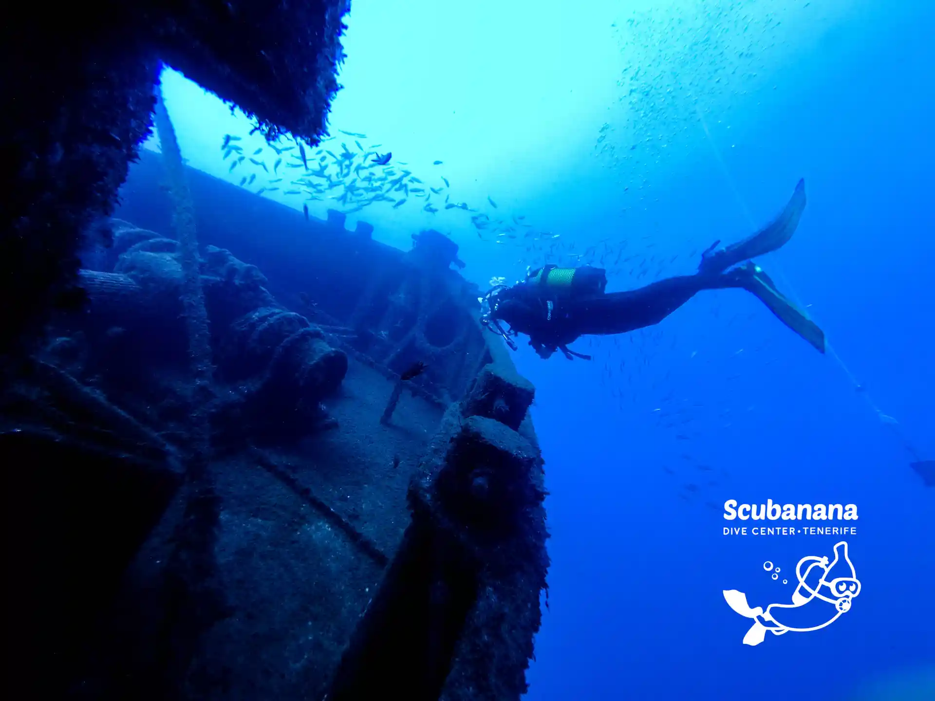 Photo de l'activité