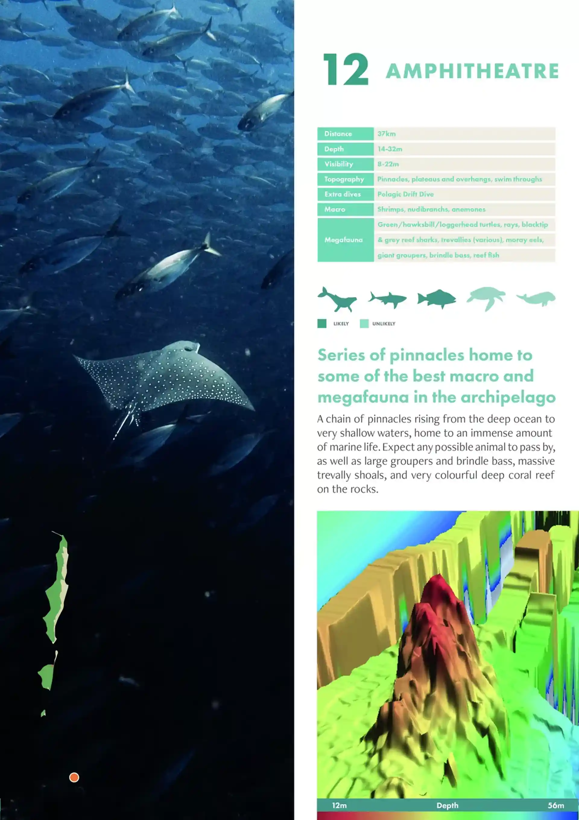 다이빙 포인트 사진