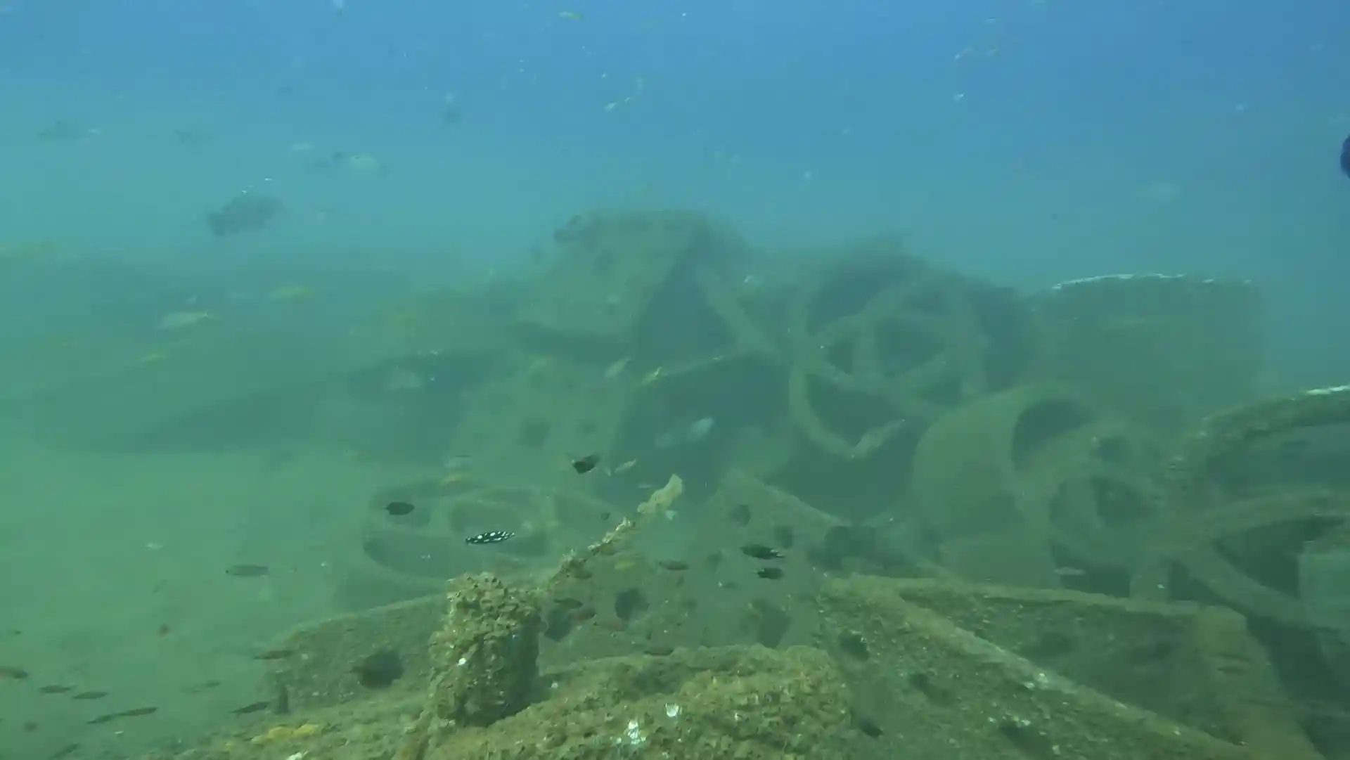 Dive site photo