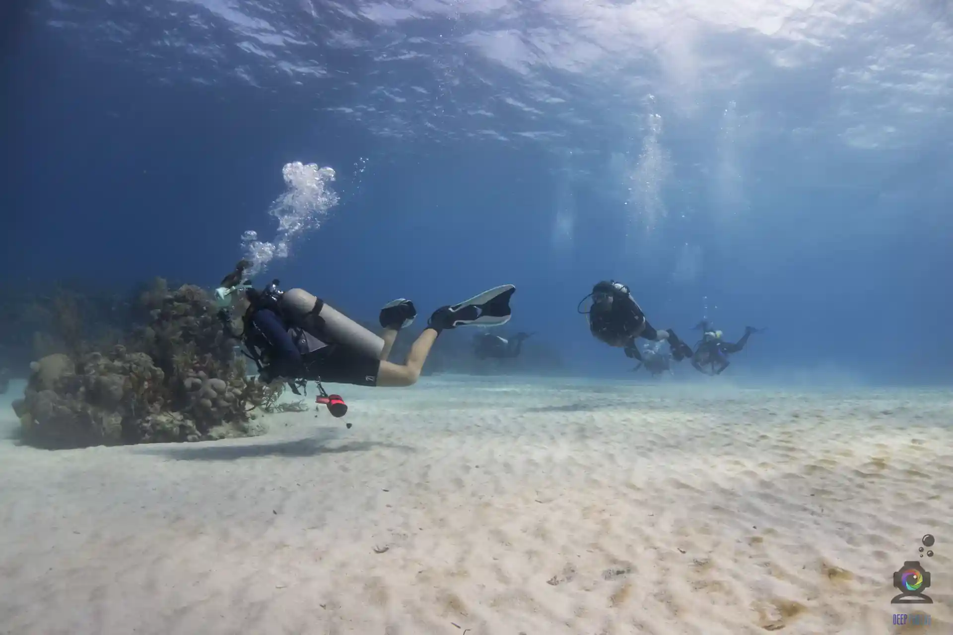 Foto de la actividad