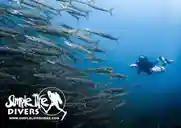 Dive center image