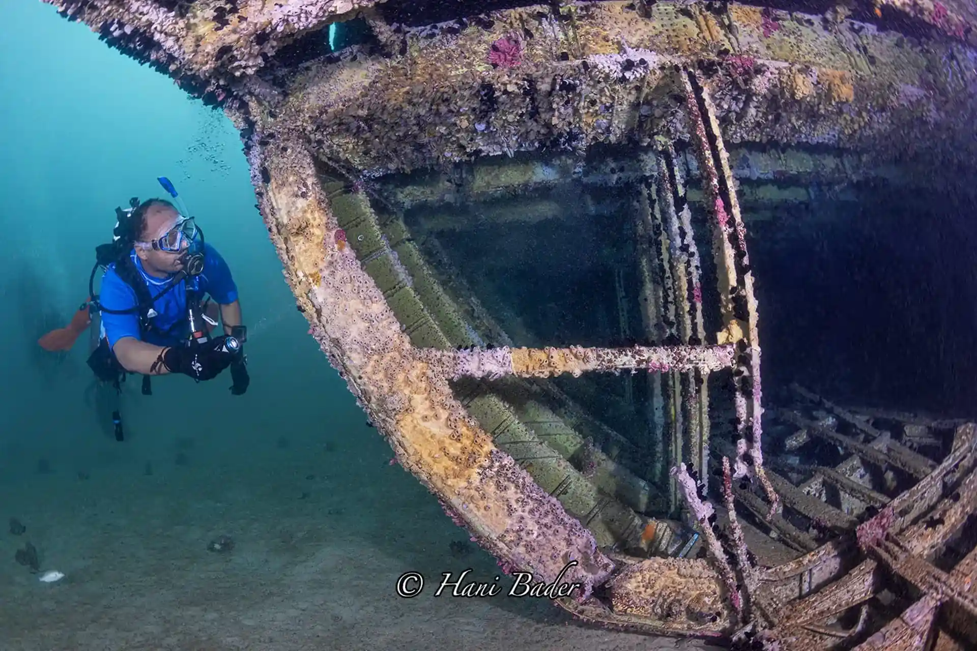 Dive shop photo