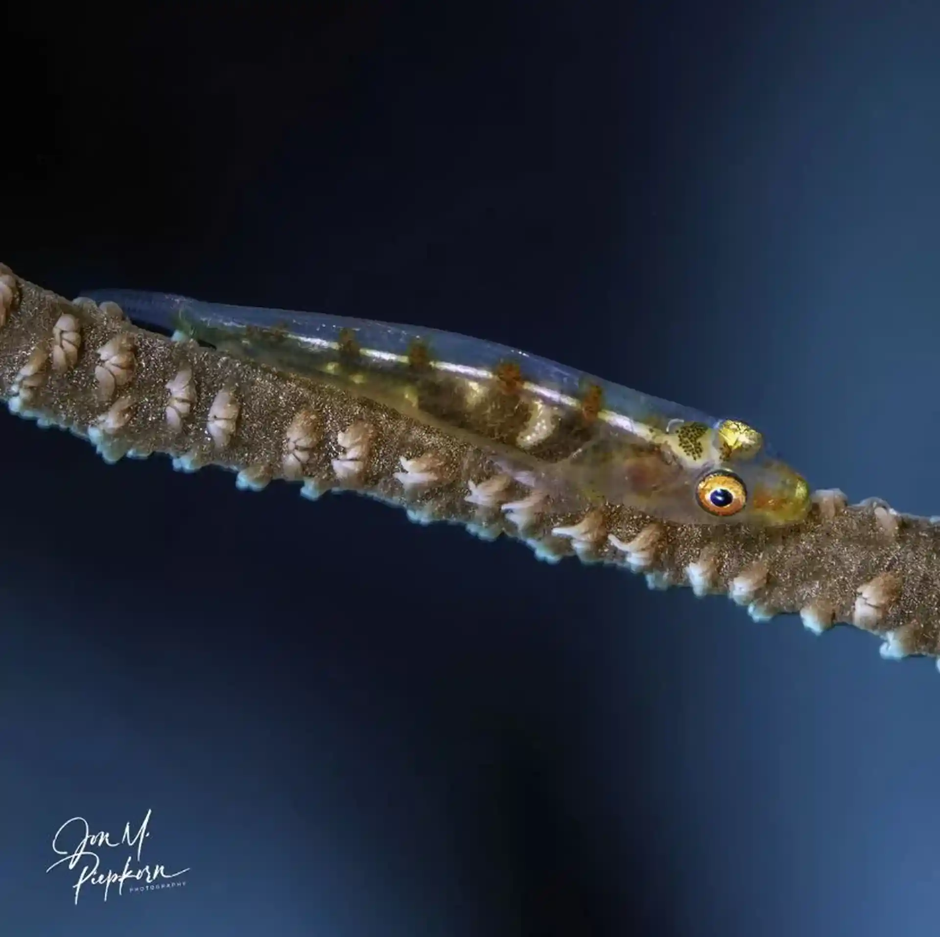 Capture the small stuff!