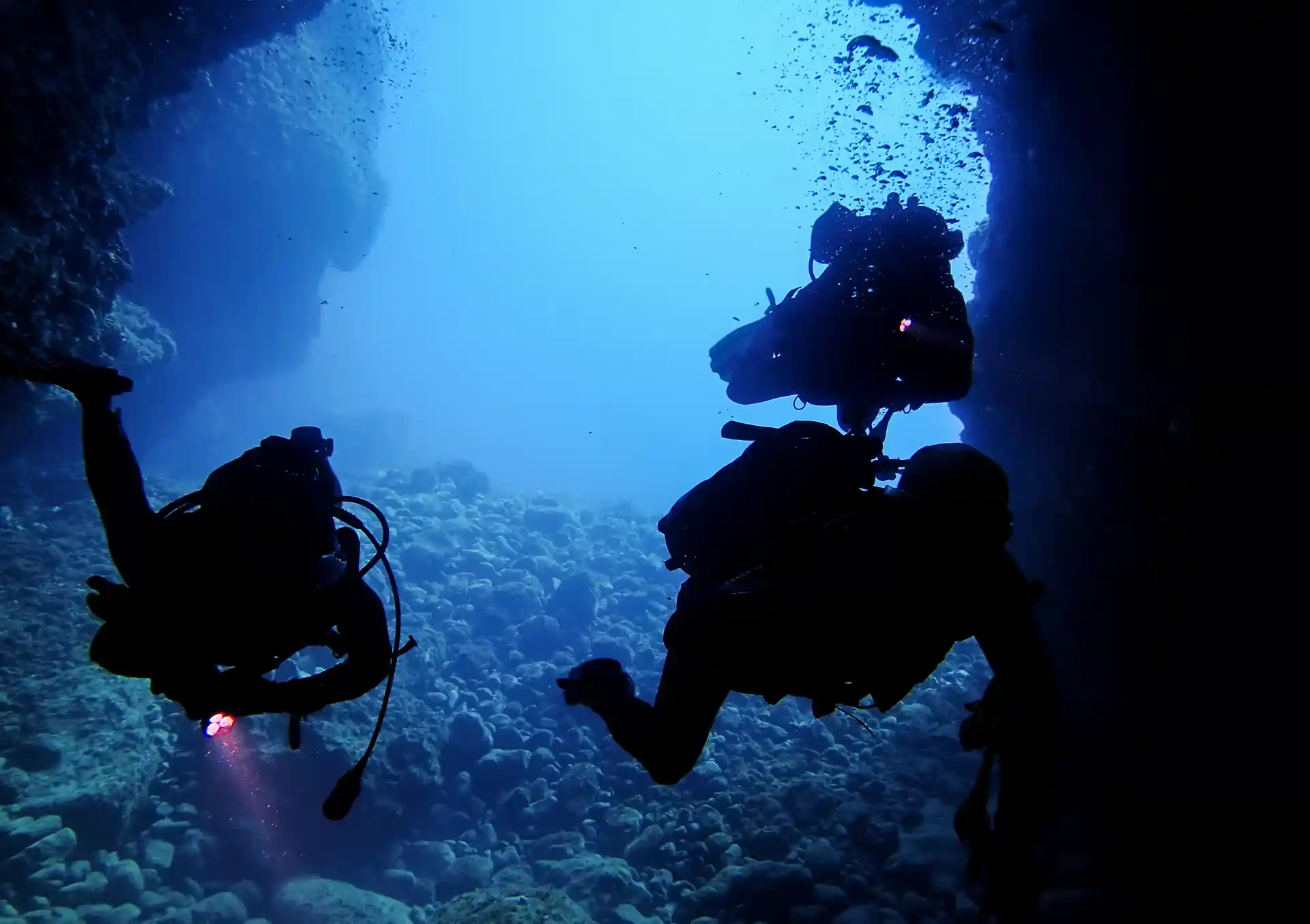 Foto de la actividad