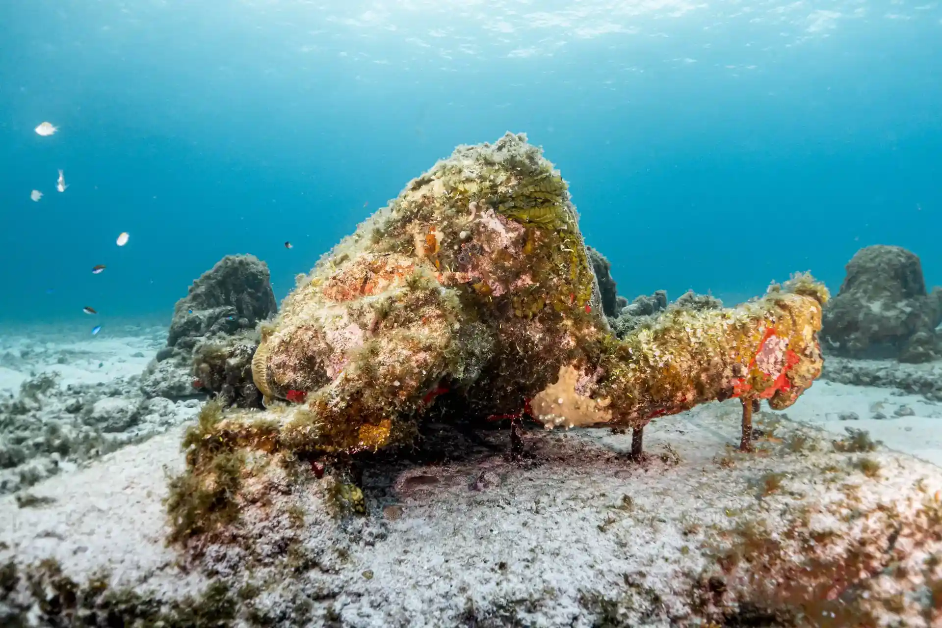 Dive site photo