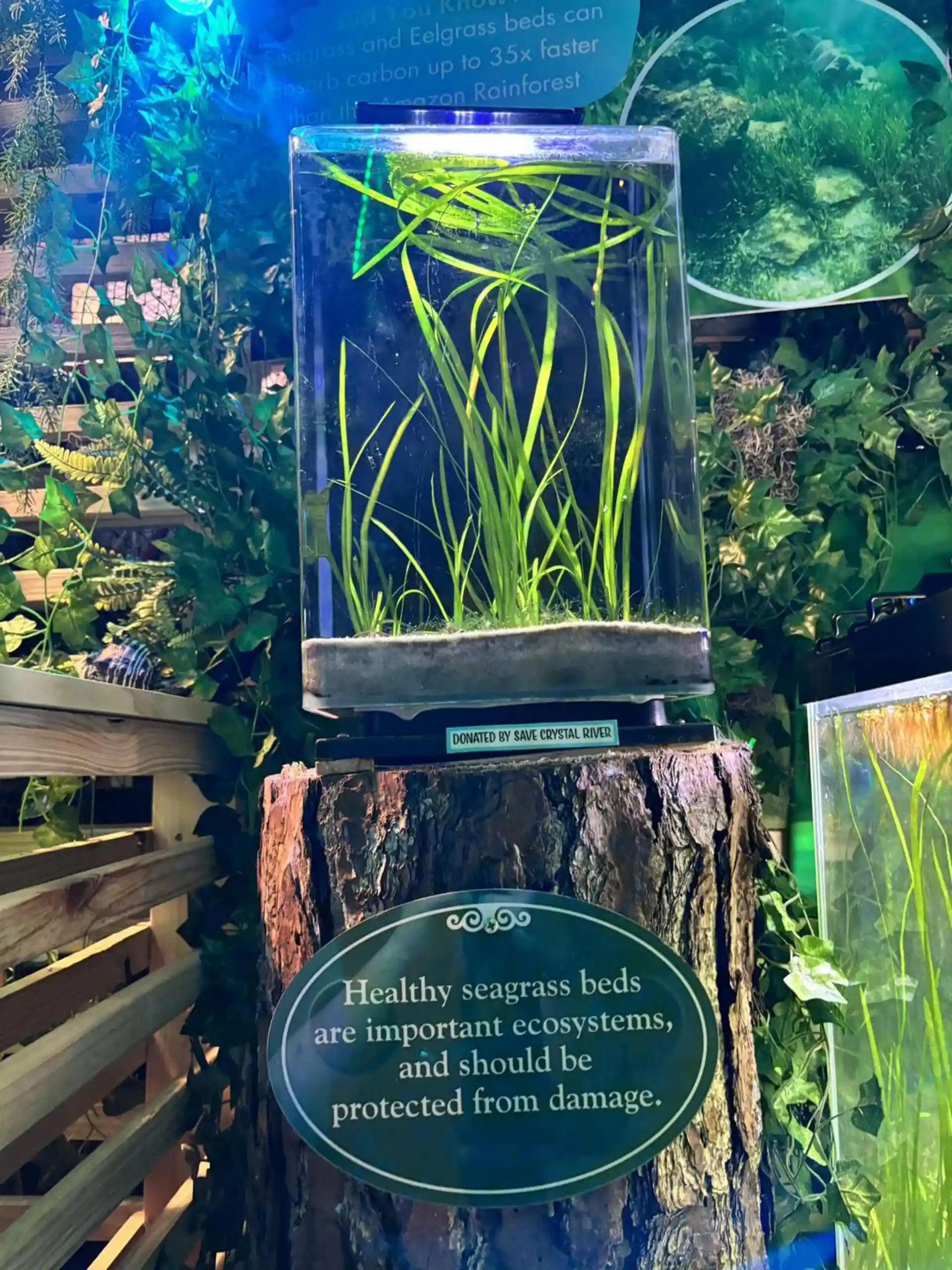 Foto de la tienda de buceo