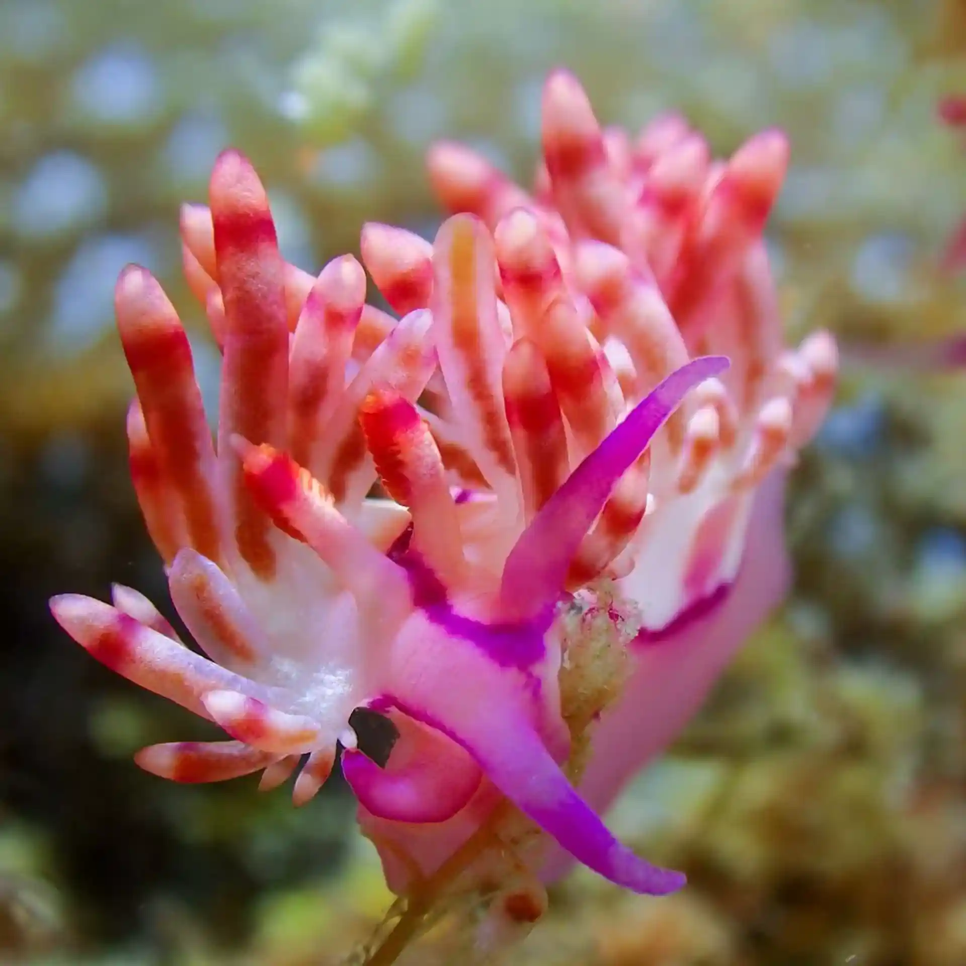 Dive site photo