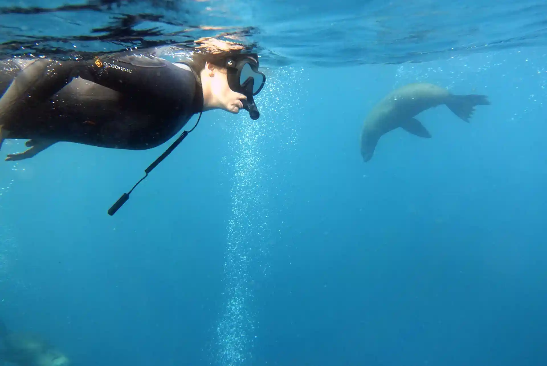 Photo du site de plongée