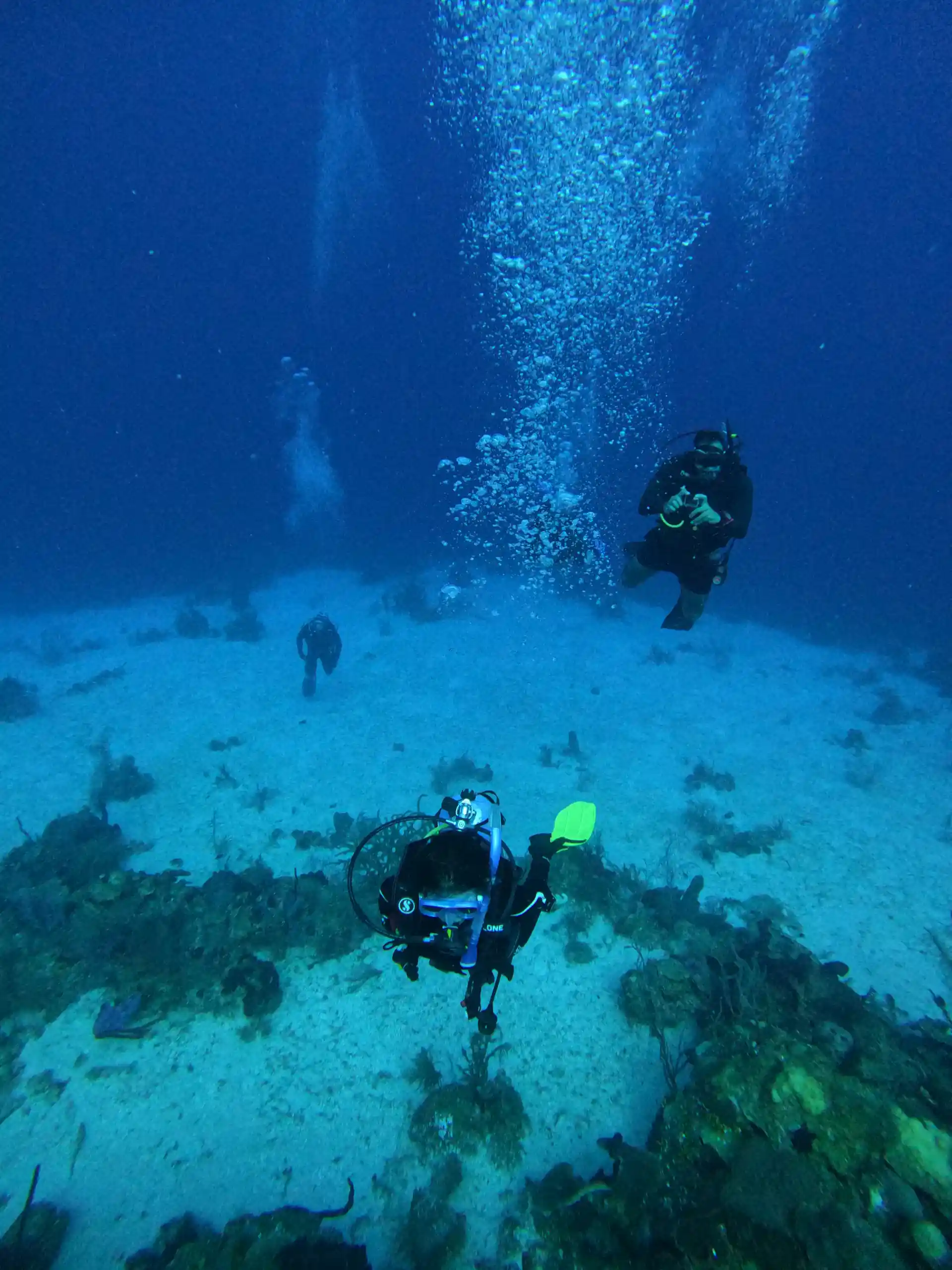 Foto de la actividad