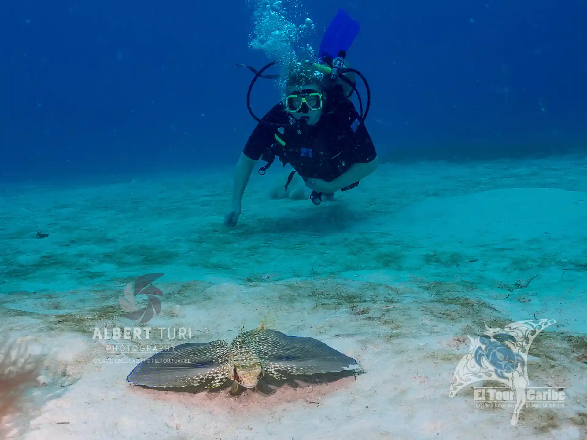 Our guest amazed at a Flying Gurnard on the sandy bottom at Big Ray Point.