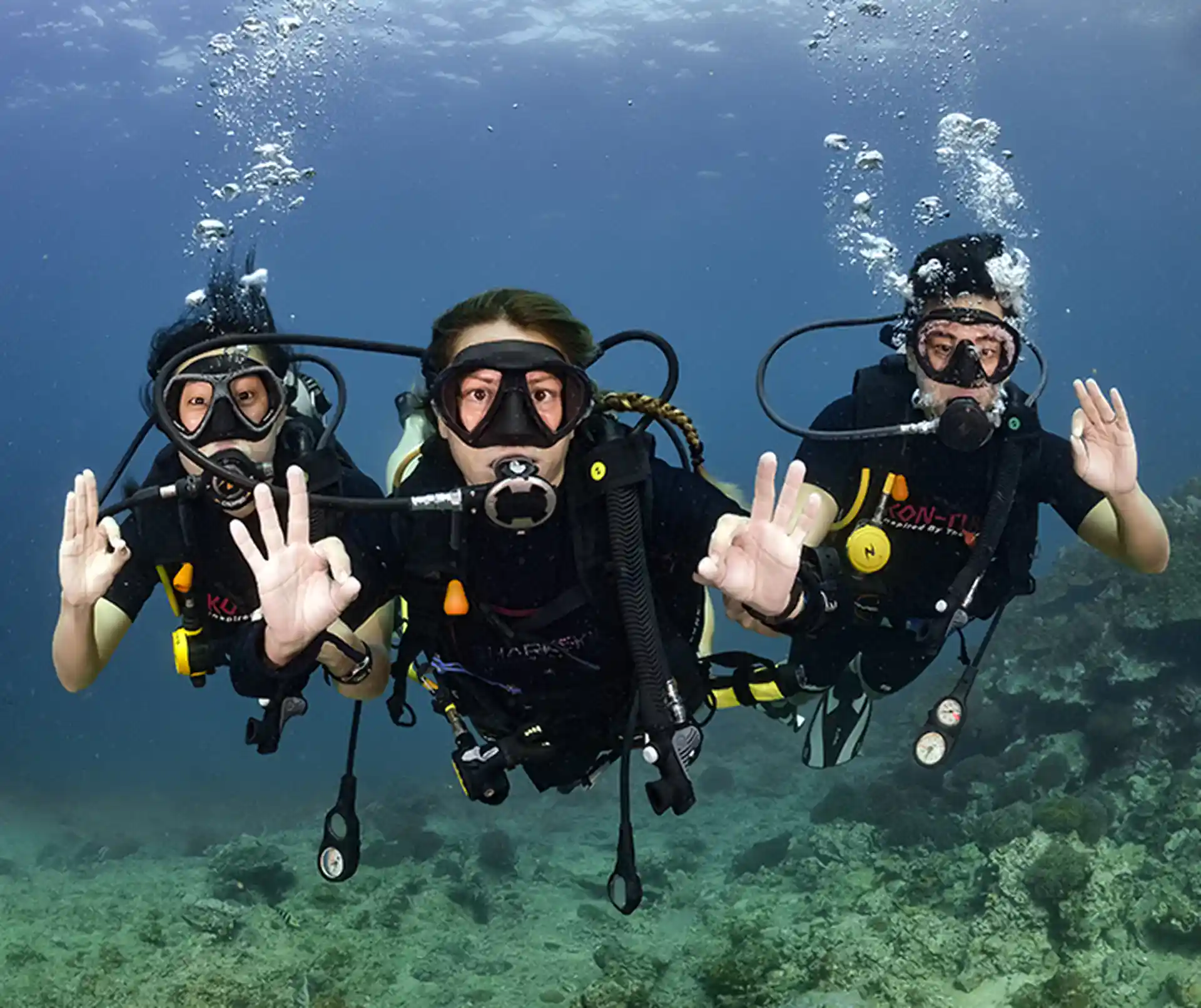 Learn to dive in small groups!