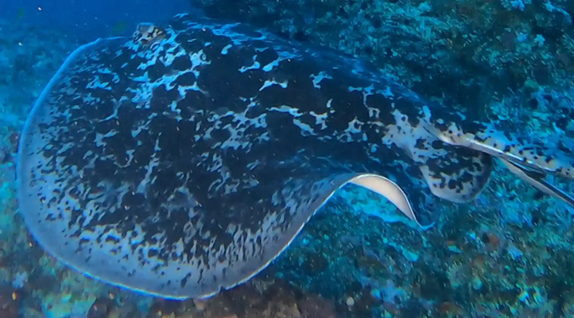 Dive site photo