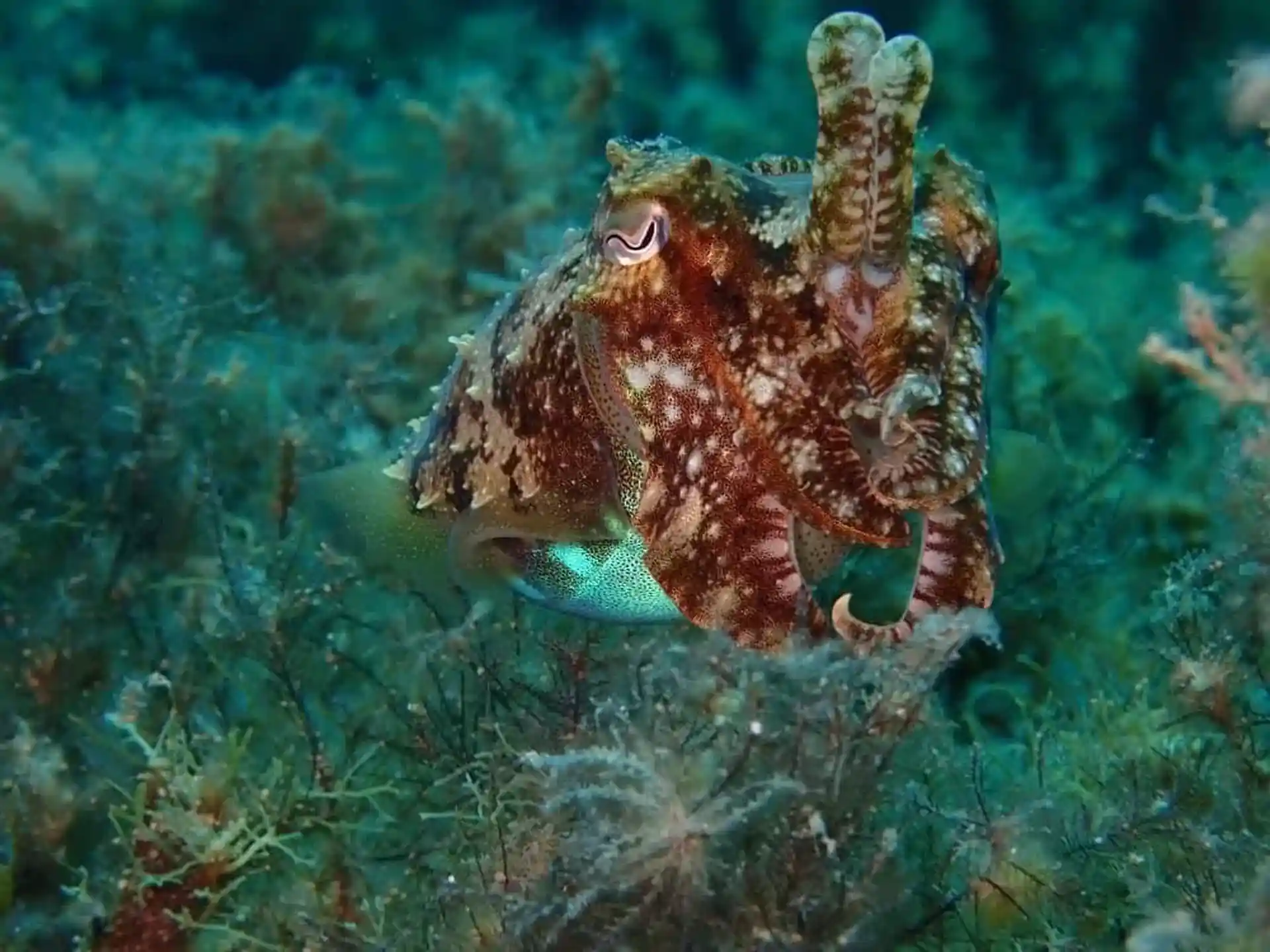 Photo de l'activité